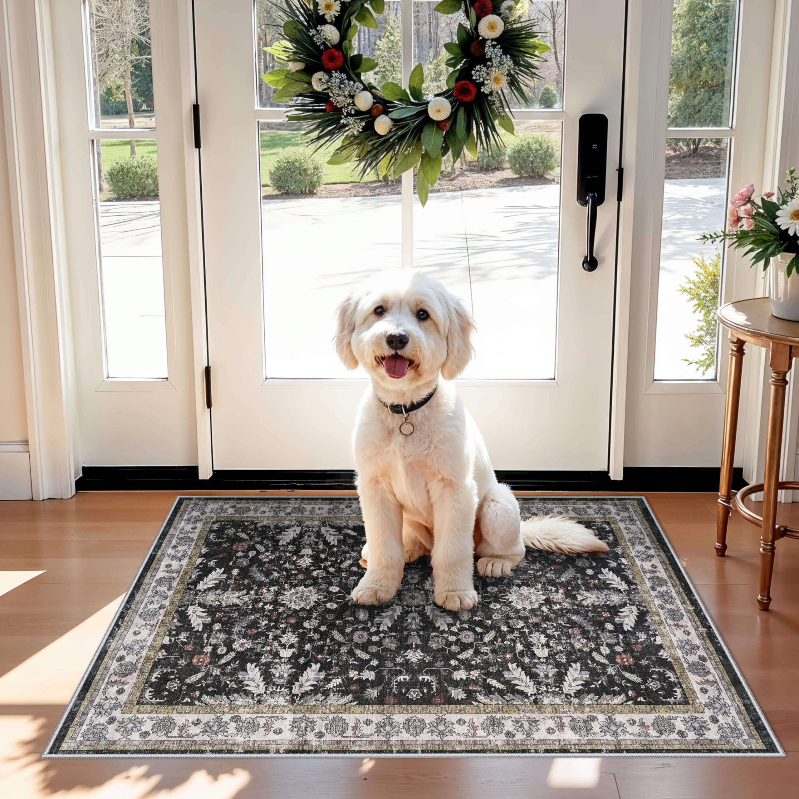 2x3 Rug Non-Slip Washable for Kitchen - Boho Small Throw Rug for Sink & Entryway, Soft Low Pile Thin Indoor Mat for Pet Area & B
