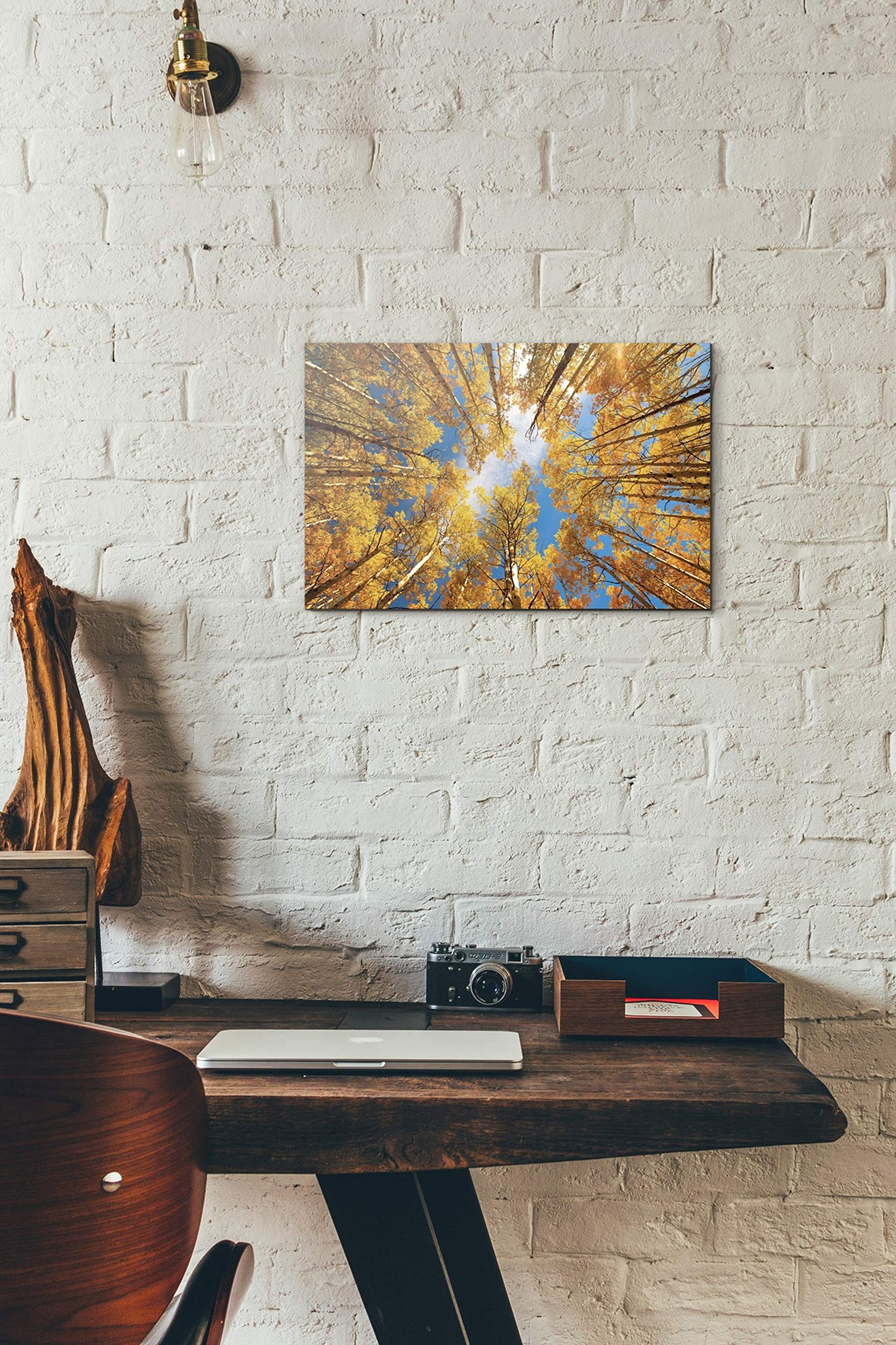 Epic Graffiti 'Towering Aspens' By Darren White, Canvas Wall Art, 12'' X 18''