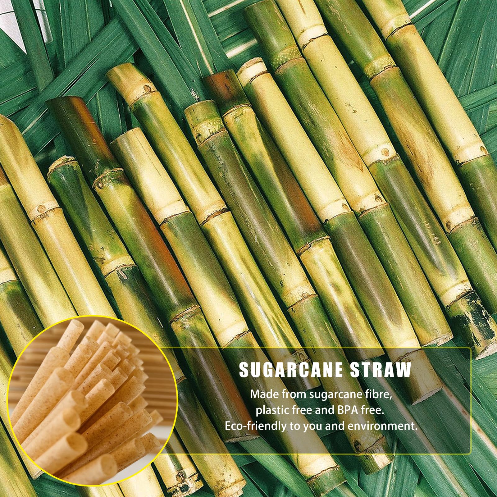 Shaumn 200Pcs Sugarcane Straws Biodegradable 8 Inch Compostable Straws Eco-Friendly Disposable Drinking Straws Plastic Free Stur