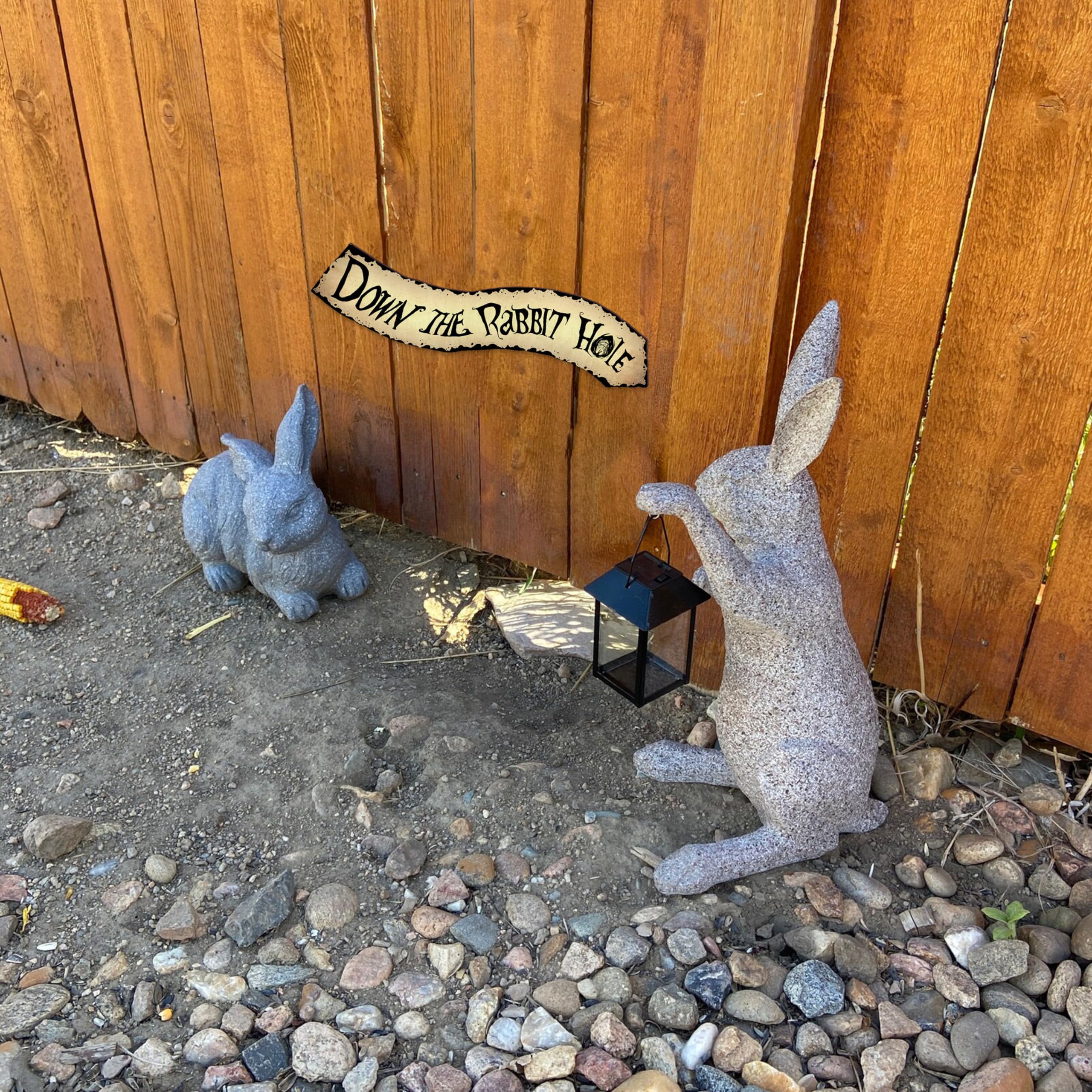 flinelife Down The Rabbit Hole Arrow Sign,16x4,Wonderland Party Decorations,Kids Room Decor For Girls