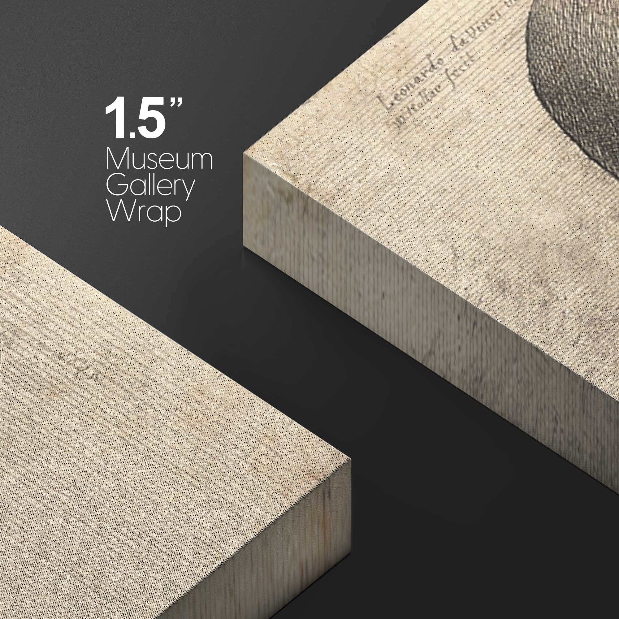 Wall26 Framed Canvas Print Wall Art Right Profile Of A Skull By Leonardo Da Vinci Historic Cultural Illustrations Realism Tradit