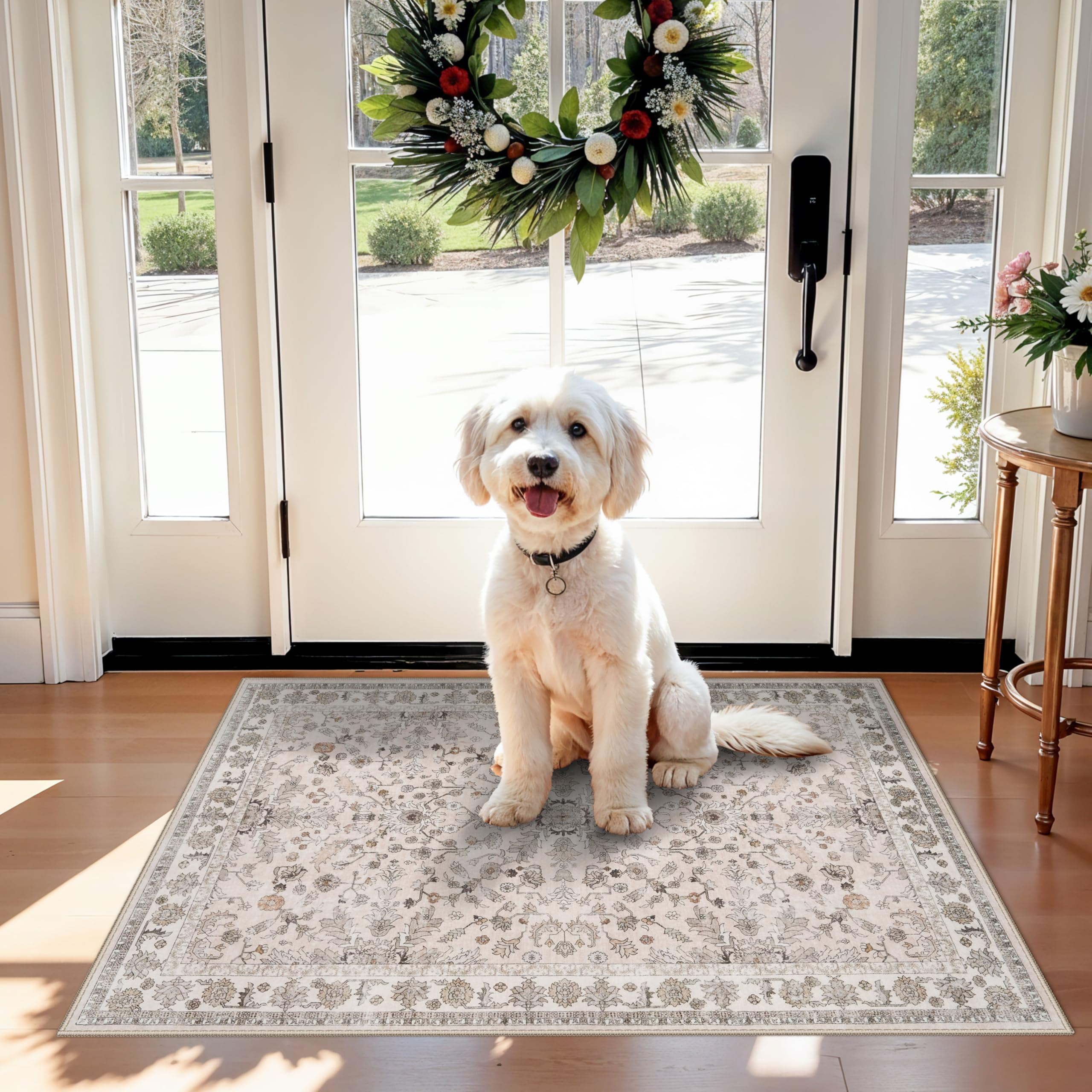 2x3 Non-Slip Washable Kitchen Rug - Boho Small Accent Rug for Sink & Entryway, Soft Low Pile Thin Carpet for Pet Area & Bathroom