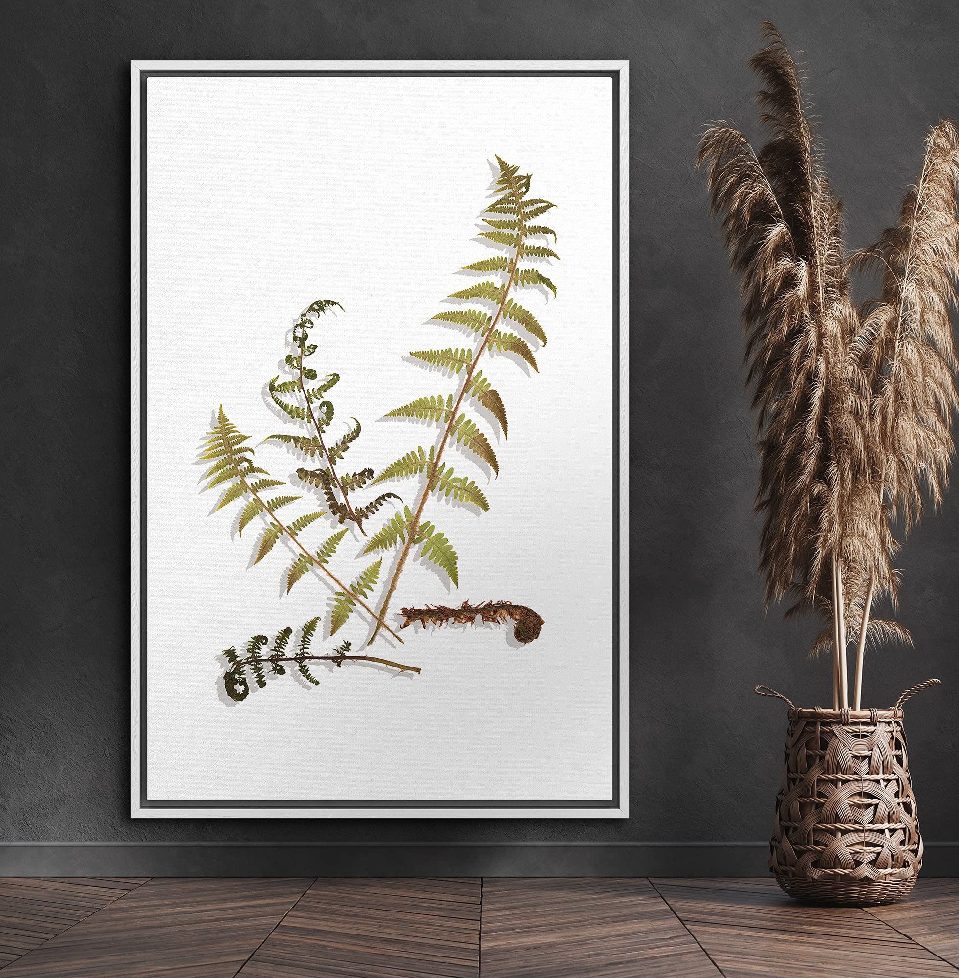 Signford Canvas Print Wall Art Green & Brown Fern Leaf Arrangement Floral Plants Illustrations Modern Art Rustic Group Colorful