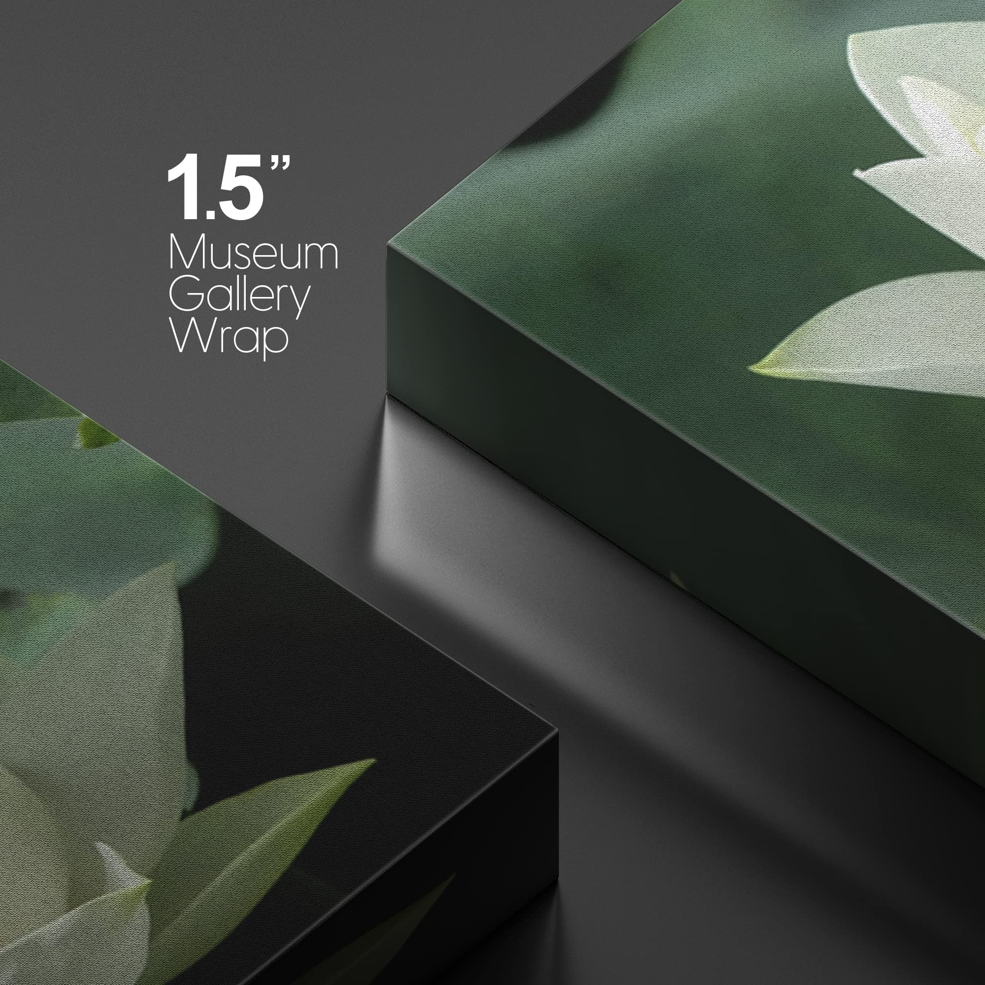 Canvas Prints Wall Art - White Lotus Flower And Green Lotus Leaf | Modern Wall Decor/Home Art Stretched Gallery Wraps Giclee Pri