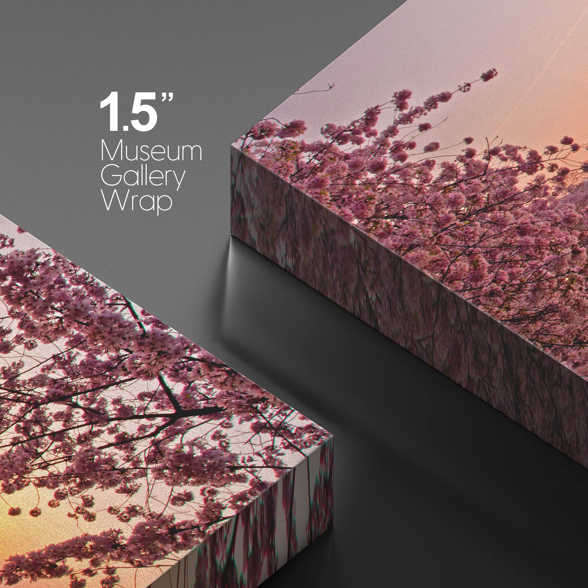 Canvas Prints Wall Art - Cherry Blossom Festival At The National Mall Washington, Dc | Modern Wall Decor/Home Art Stretched Gall