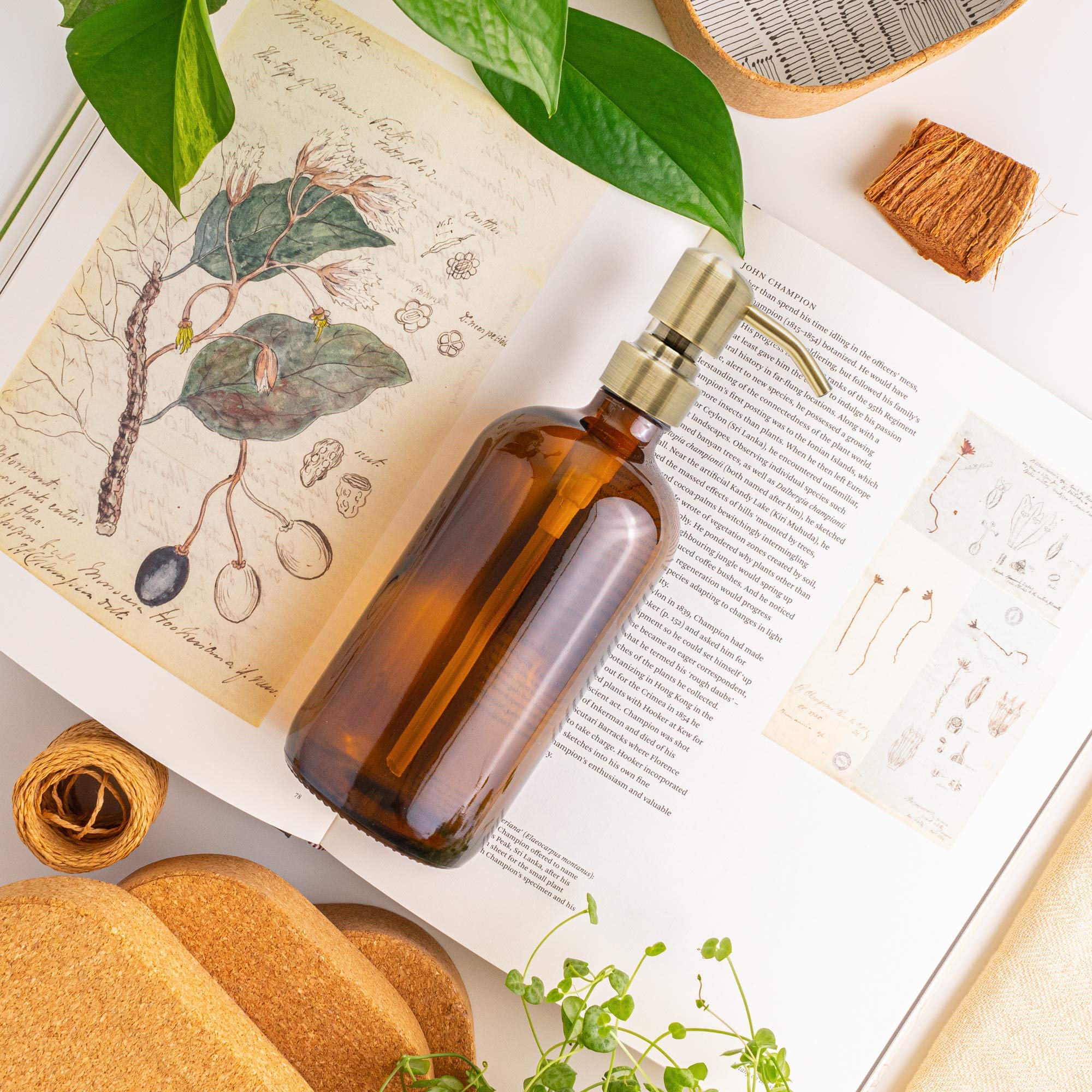 Vine creations Amber glass Soap Dispenser 2 Pack, Thick 16oz Bottles Rustproof Stainless Steel Pump, Kitchen Bathroom Accessorie