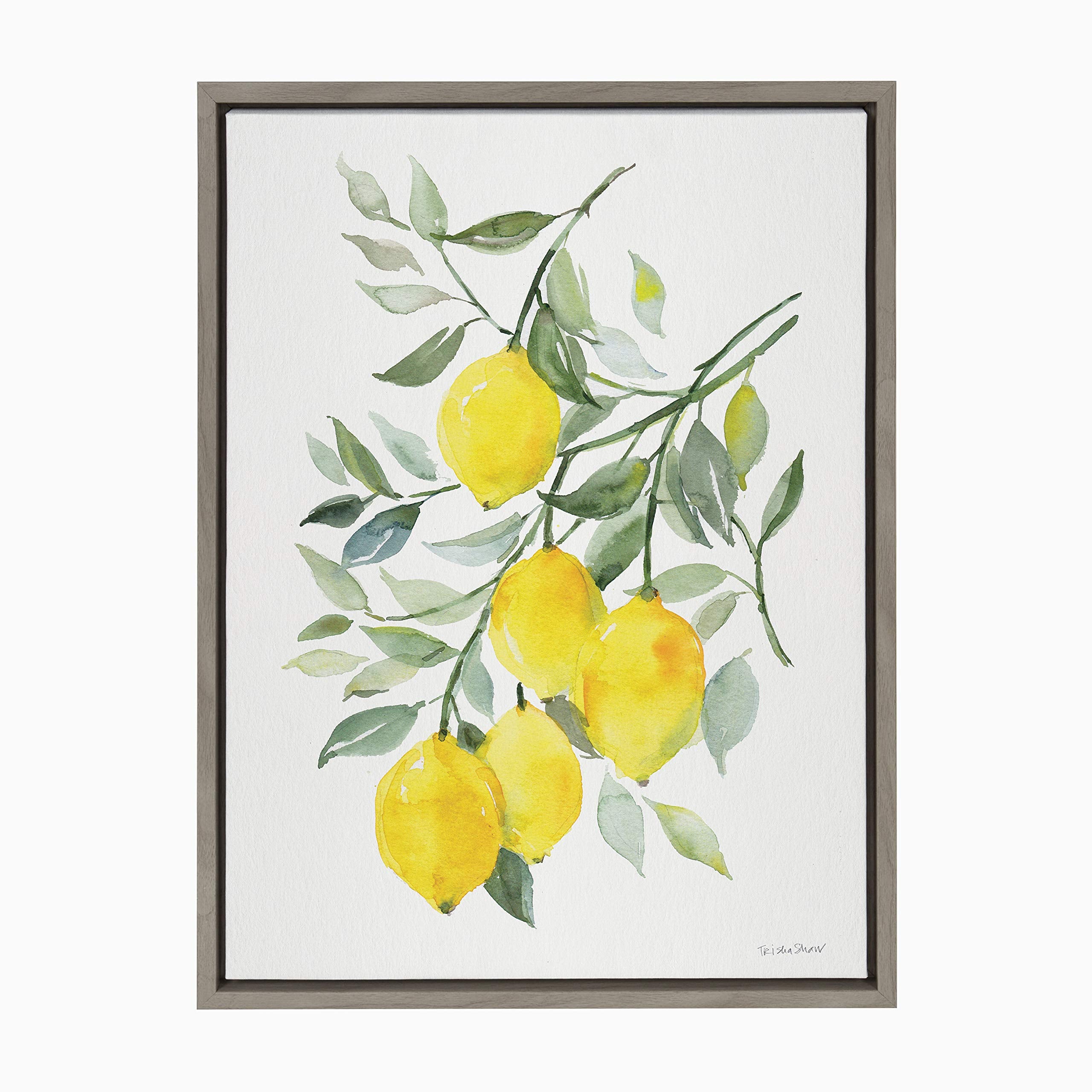Kate And Laurel Sylvie Lemon Citrus Framed Canvas Wall Art By Patricia Shaw, 18X24 Gray, Decorative Fruit Wall Decor