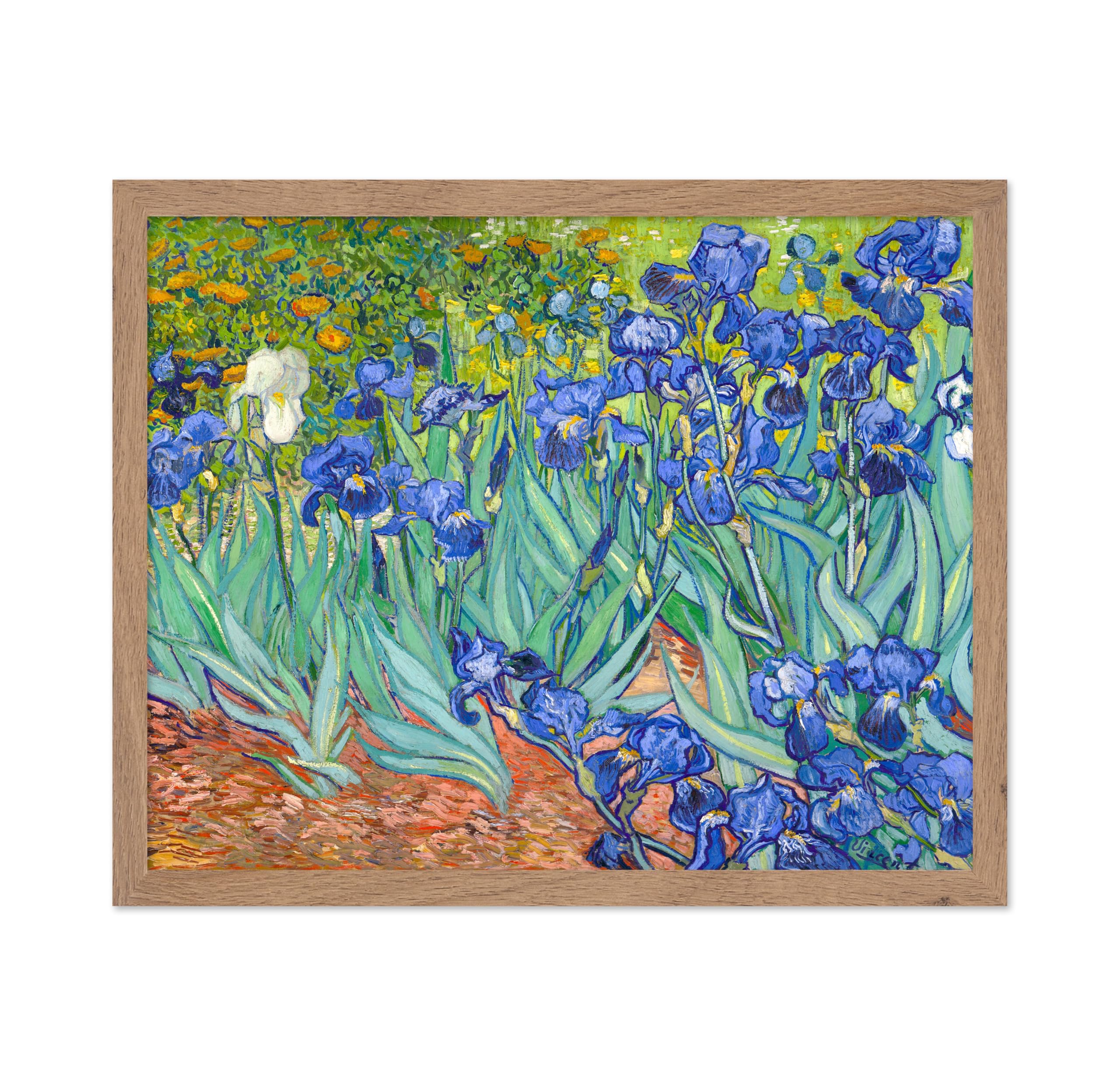 Poster Master Vintage Van Gogh Poster - Retro Impressionism Print - Gift for Artist, Painter - Irises, Garden, Flower, Blue, Lan