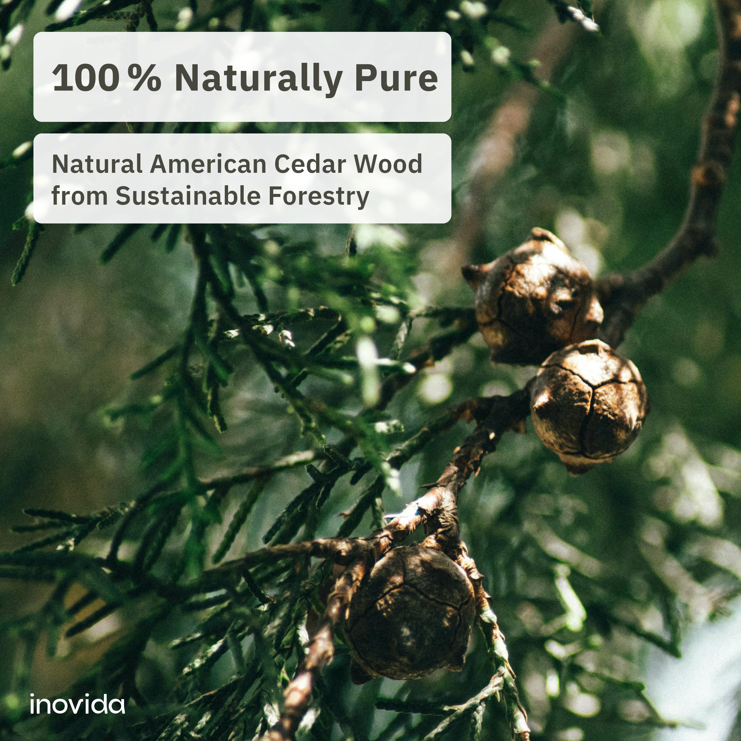 16 American Cedar Wood Blocks - Stop Clothes Damage - Wardrobe Freshener - Premium American Cedarwood Planks For Fresh Scent In