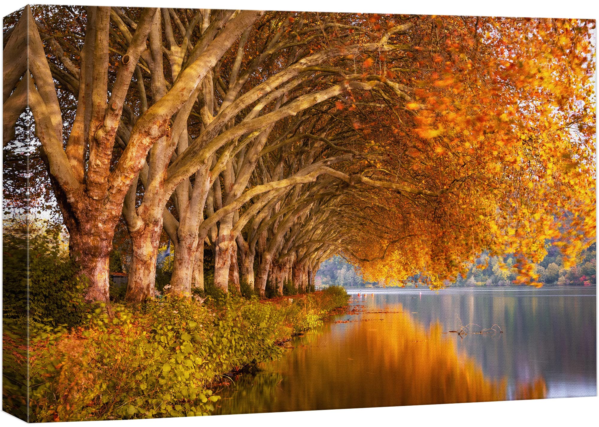Wall26 Canvas Print Wall Art Autumn Fall Orange Leaf Forest Lake Nature Wilderness Photography Realism Earth Scenery Rustic Scen