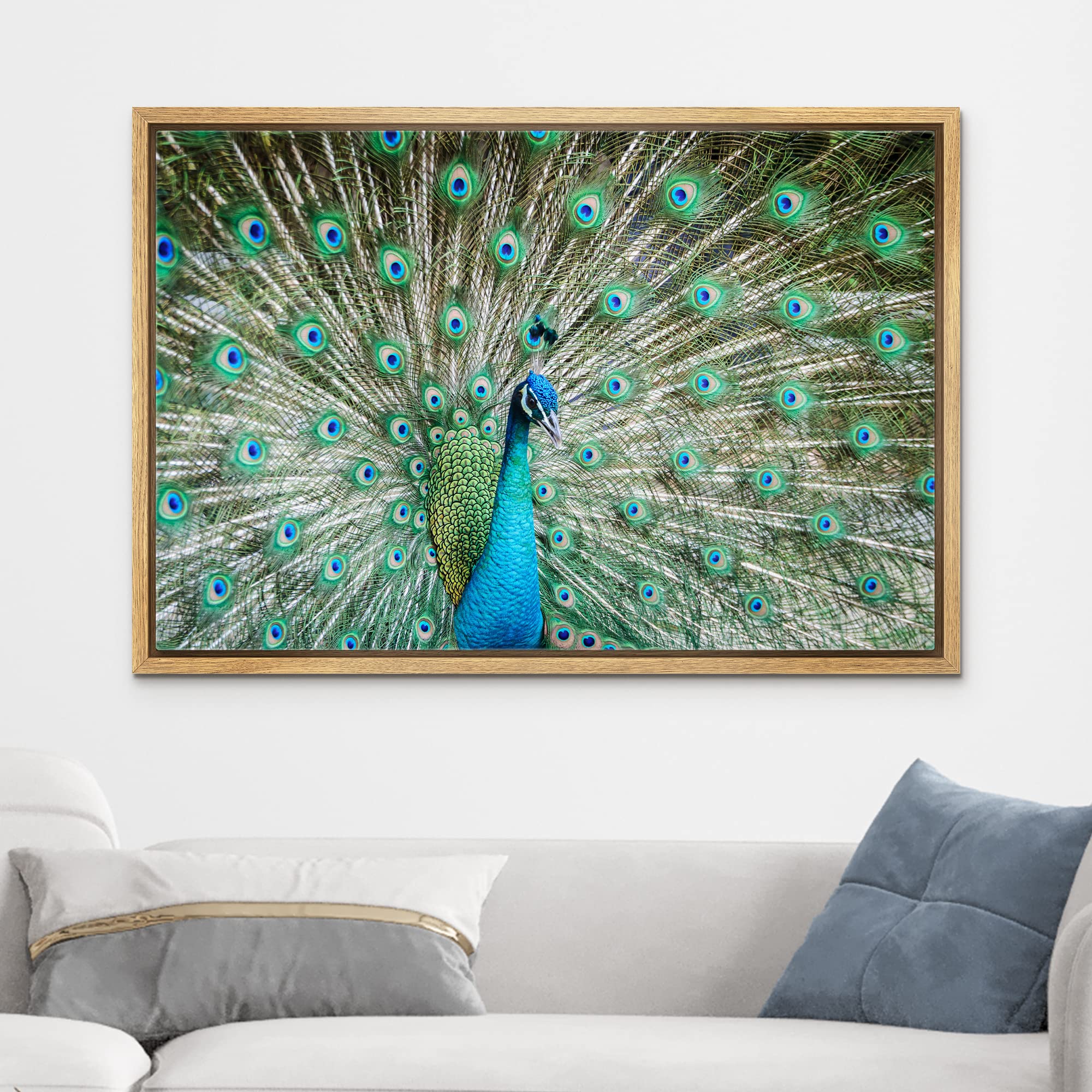 Wall26 Framed Canvas Prints Wall Art - Peacock Showing Its Beautiful Feathers/Spreading Its Tail | Modern Wall Decorstretched Ga