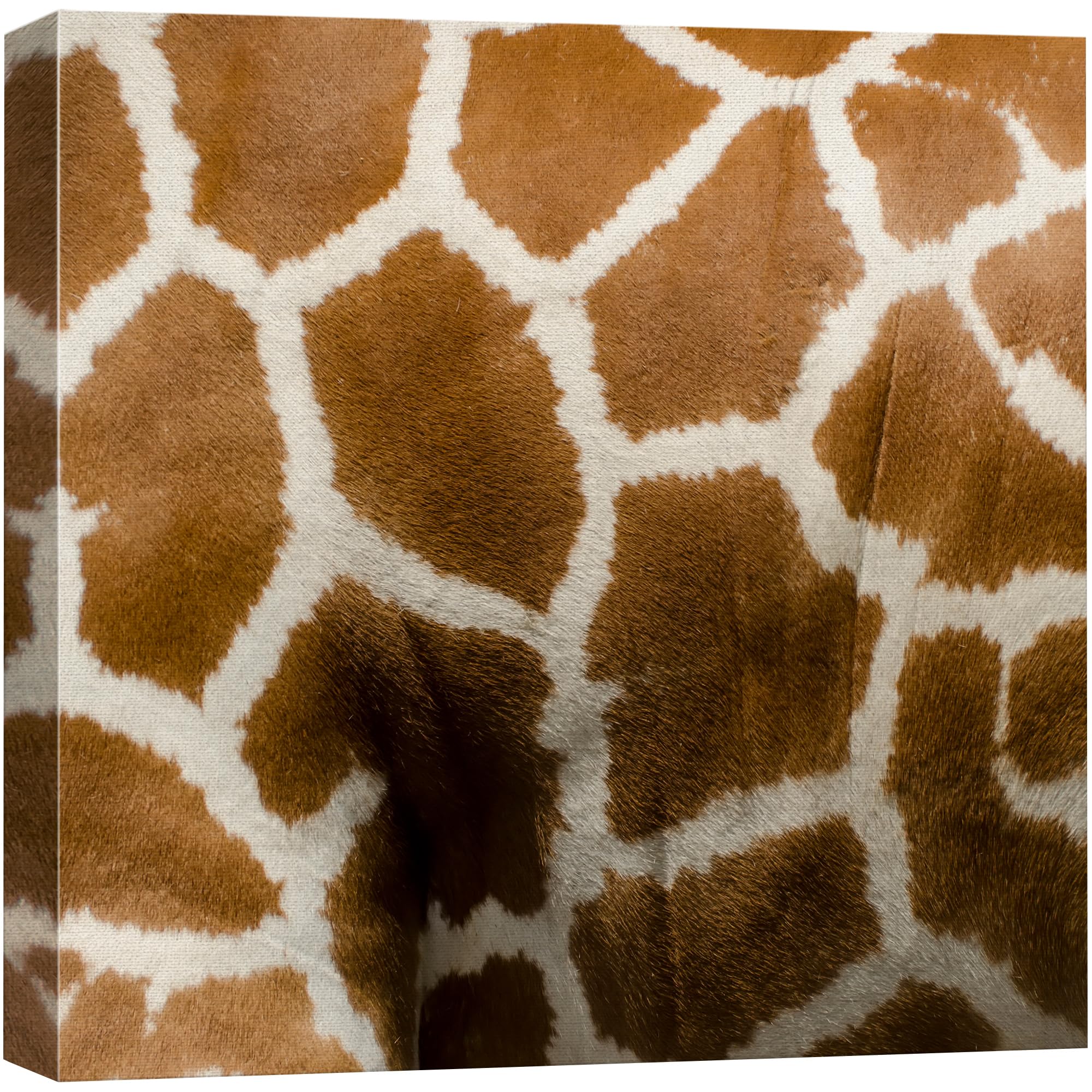 Wall26 - Canvas Prints Wall Art - Canvas Prints Wall Art - Giraffe Fur/Skin Texture - 12''X12''