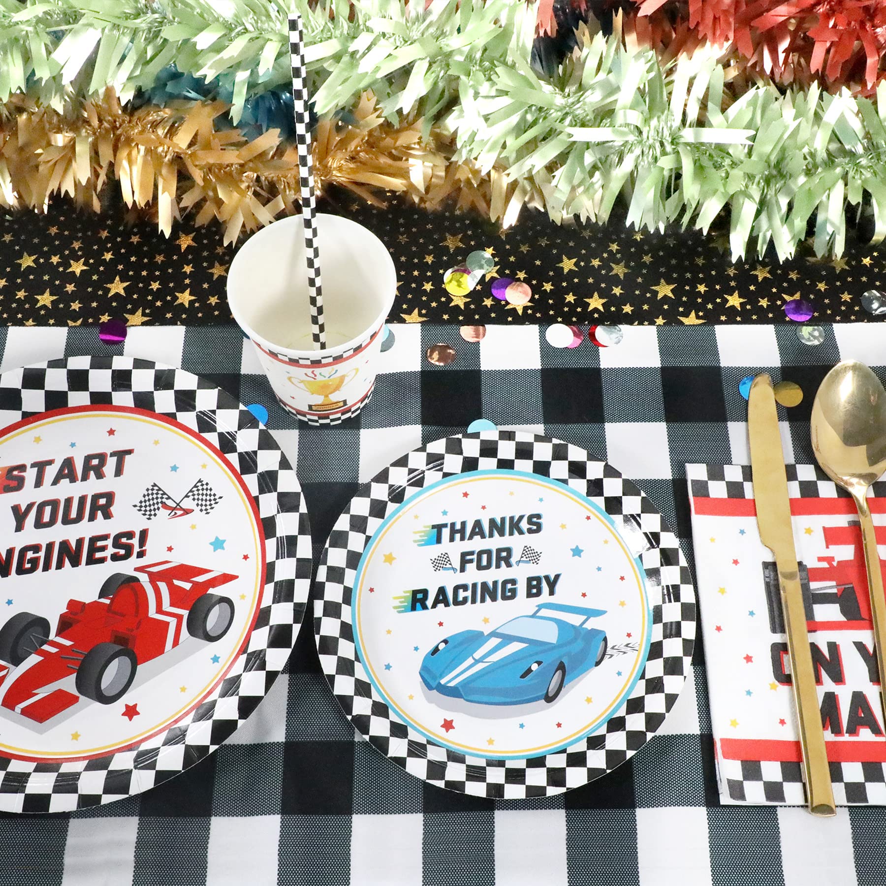 Racing Car Party Supplies Decorations, Checked Race Car Theme Birthday Paper Plates And Napkins Set With Cups And Straws For 24