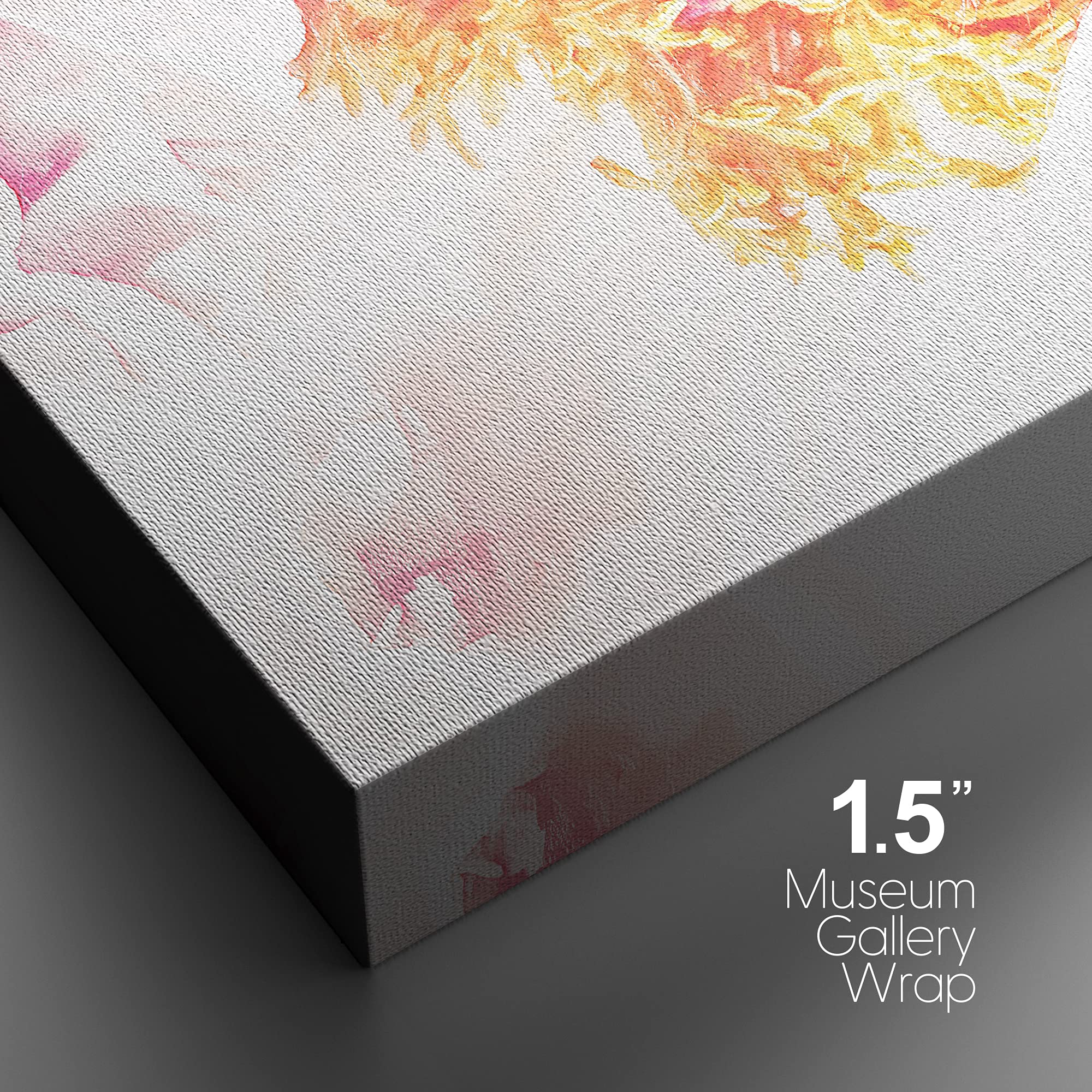 Nwt Canvas Print Wall Art Closeup Of Pink & Orange Chinese Peony Floral Plants Illustrations Modern Art Rustic Landscape Colorfu