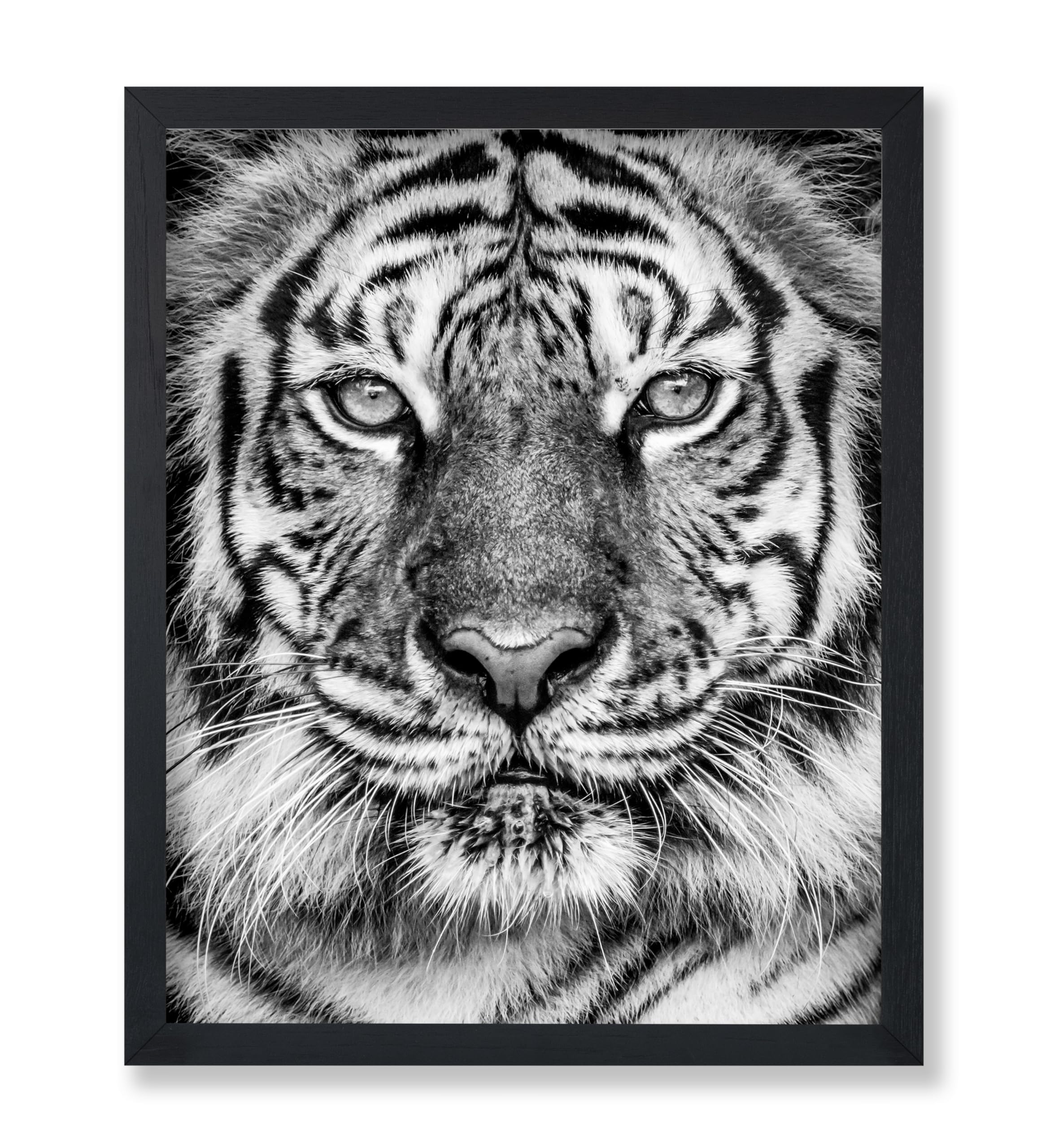 Poster Master Tiger Print - Retro Portrait Poster - Black & White Art - Minimal Gift for Men, Women, Animal Lover - Great Wall D