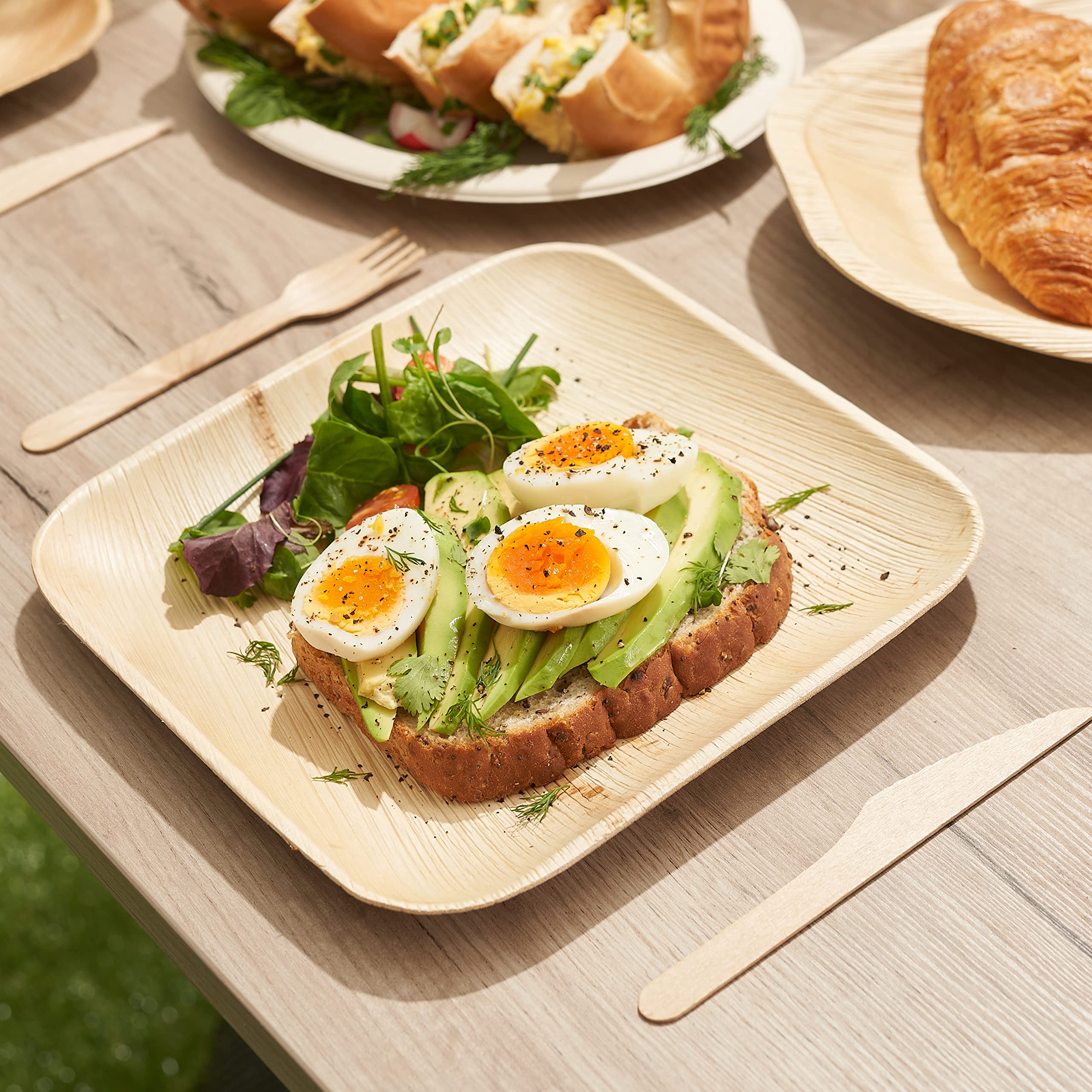 Haago Pack Palm Leaf Plates Biodegradable, Disposable, Eco-Friendly Picnic & Outdoor Tableware, Microwave Safe (10'' Square)