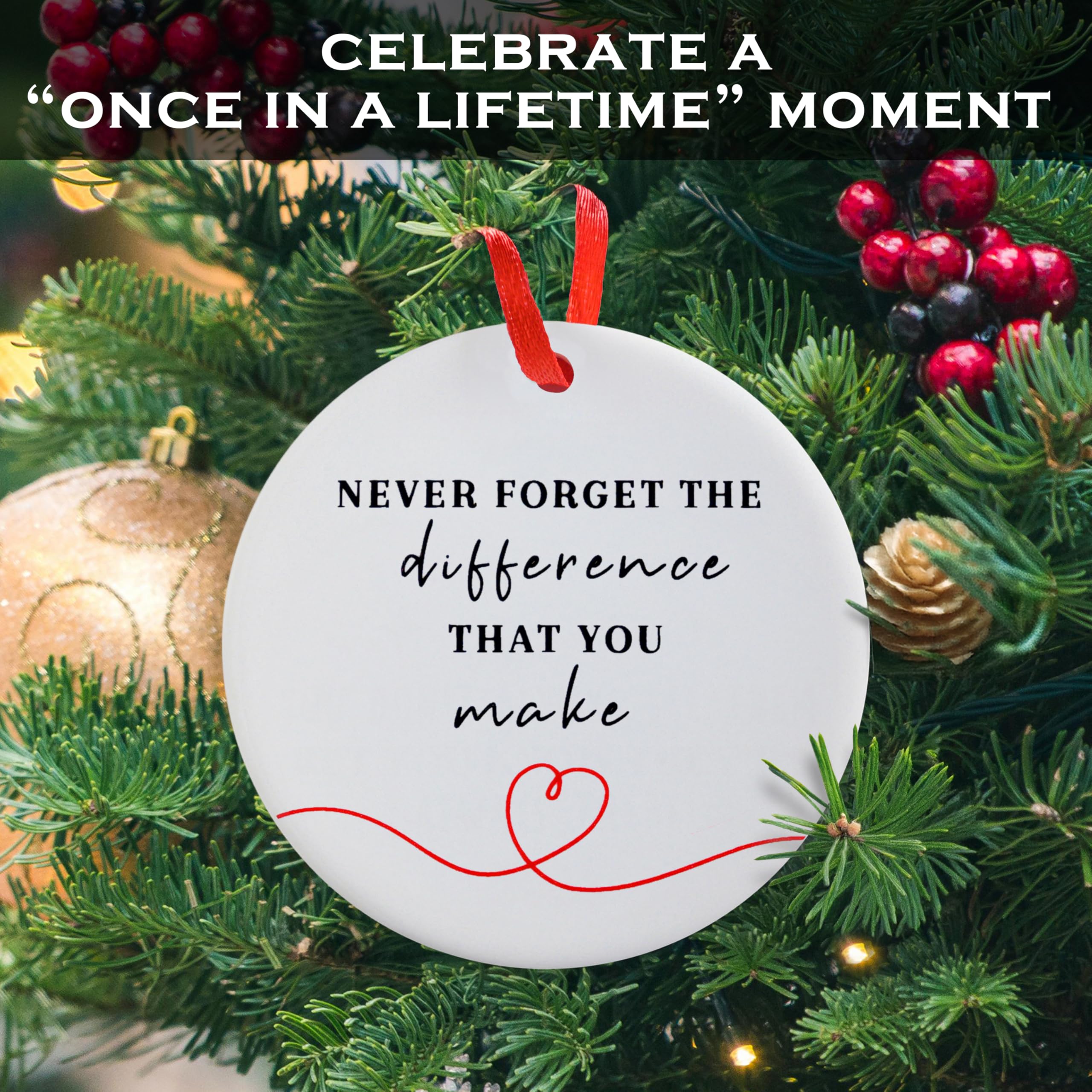 Never Forget The Difference You Make Ornament 6 Inch, You Make a Difference Ornament, Caregiver Christmas Ornament, Thank You Gi