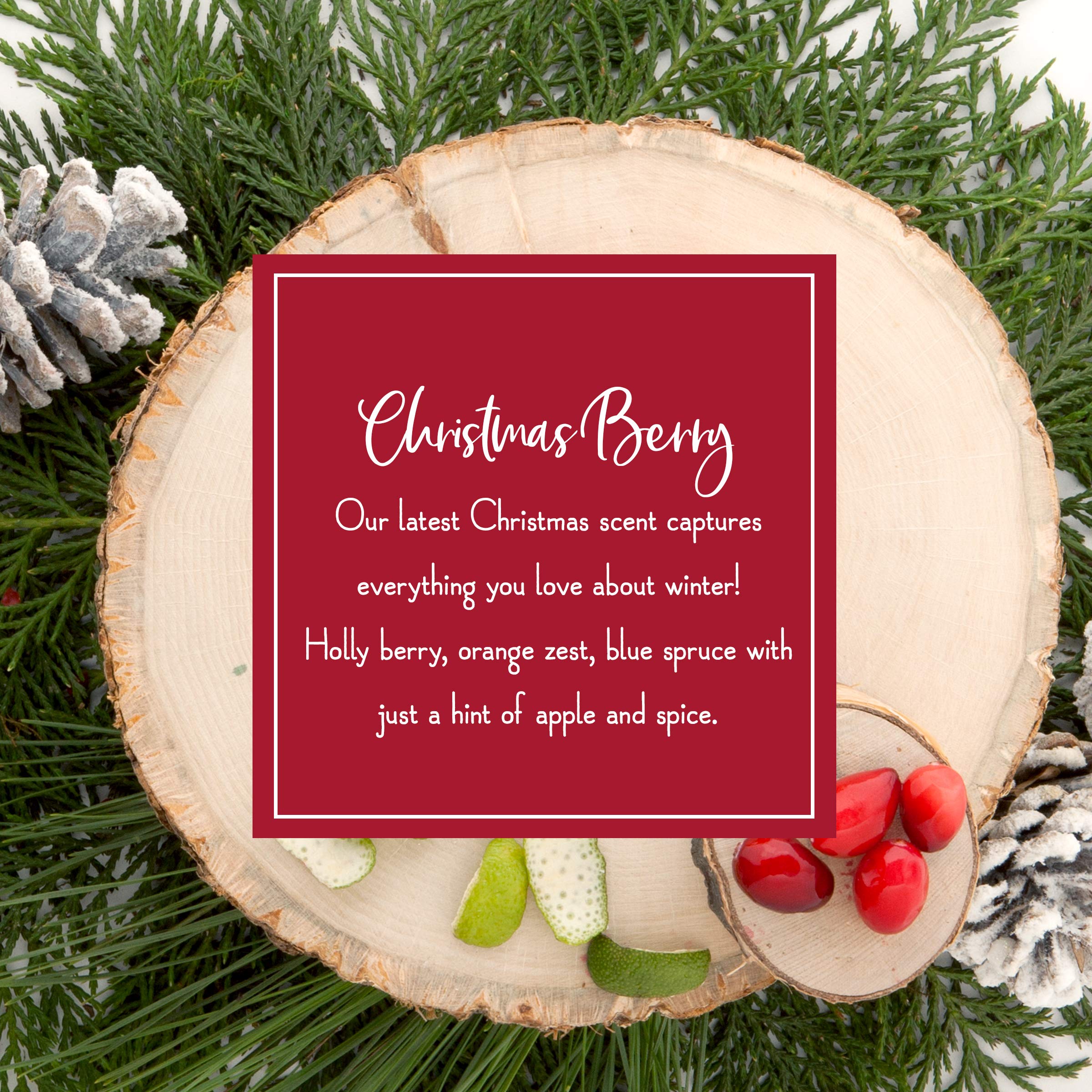 Scentsicles Christmas Berry Scented Christmas Ornaments with Hooks - 1 Bottle (6 Sticks Total)