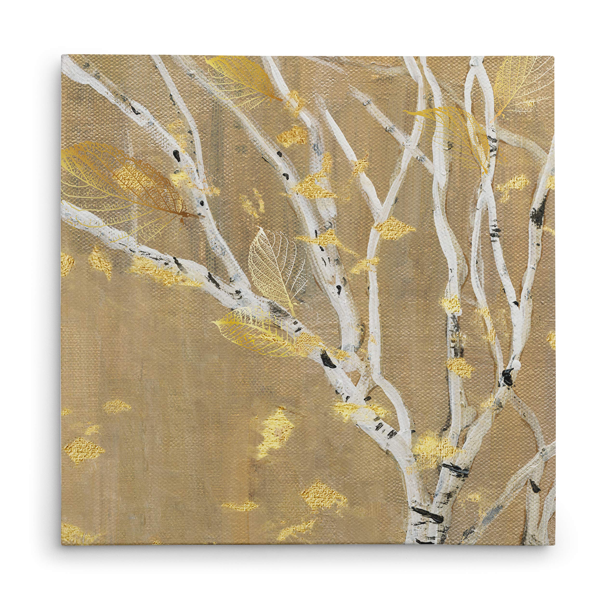 Wexford Home Birch Wood Iii Gallery Wrapped Canvas Wall Art, 32X32