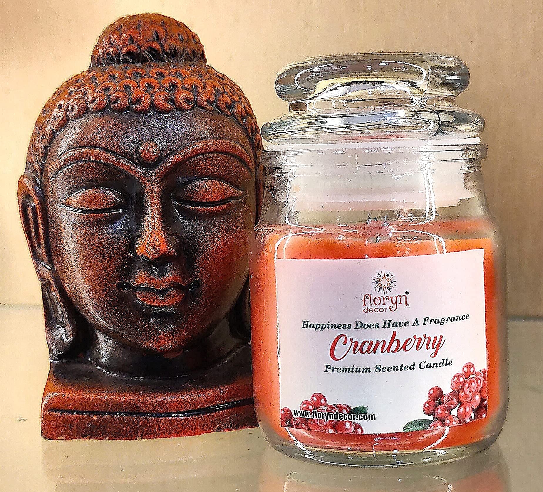 Floryn Decor Scented Cookie Jar Candle | Pack of 3 | Scented Jar Candle (Blueberry | Strawberry | Cranberry)