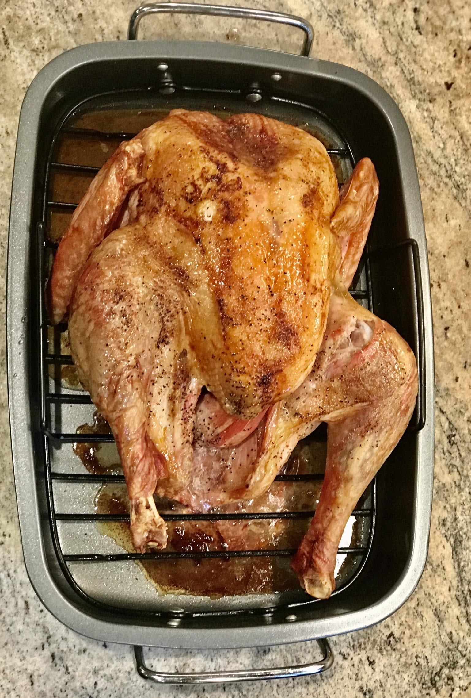 Heavy Gauge, Carbonized Steel, Commercial Kitchen Grade Non-Stick Roaster With Floating Rack For 22 Lb Turkey By Eurohome