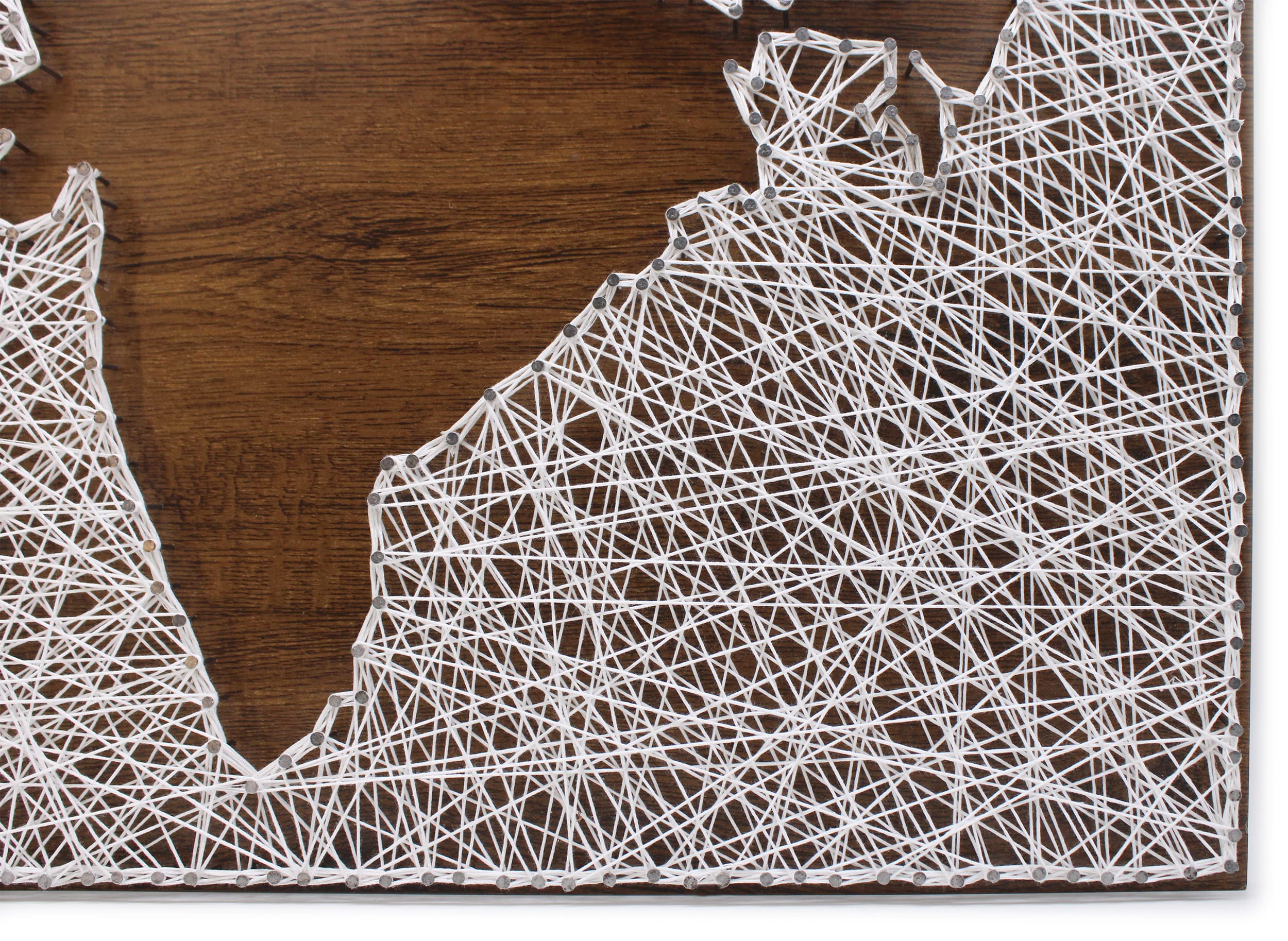 VAH India Filled String State Decorative Wall Hanging Thread Art For Wedding Gift, Anniversary Gift, Birthday GIft