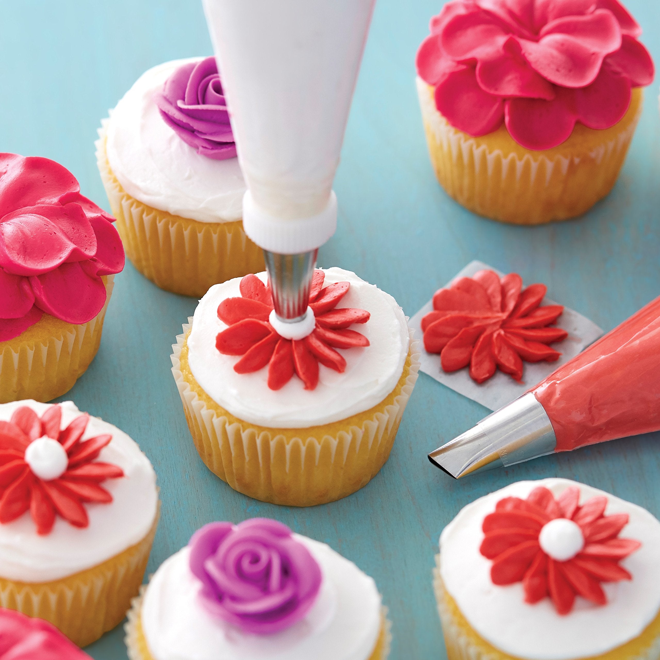 Wilton Piping Tip Set For Cake & Cupcake Decorating, 9-Piece With Carrying Case
