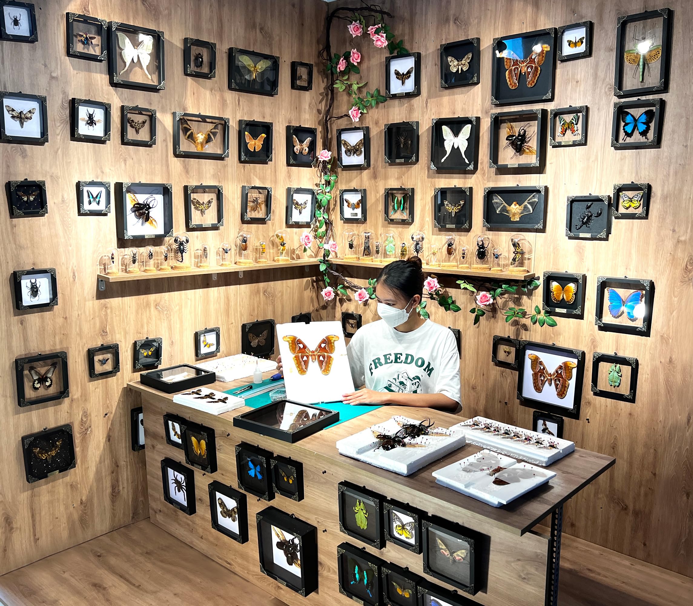 Real Giant Scorpion Framed Dried Beetle Shadow Box Entomology Wooden Insect Handmade Taxidermy Wall Art Decor Decoration Tableto