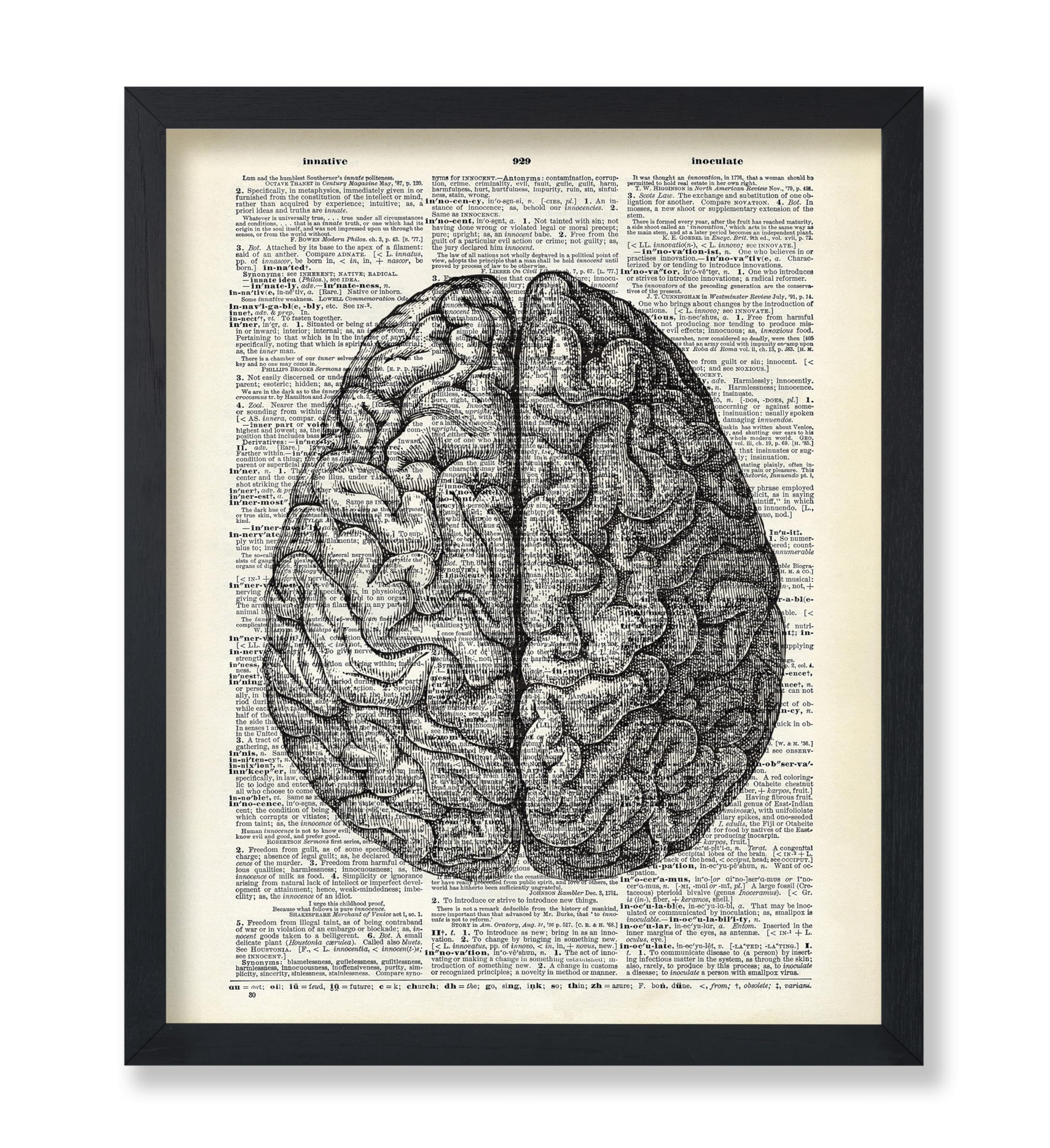 Poster Master Dictionary Art Poster - Human Brain Print - Anatomical Brain Art - Anatomy Art - Gift for Doctor, Nurse - Great Wa