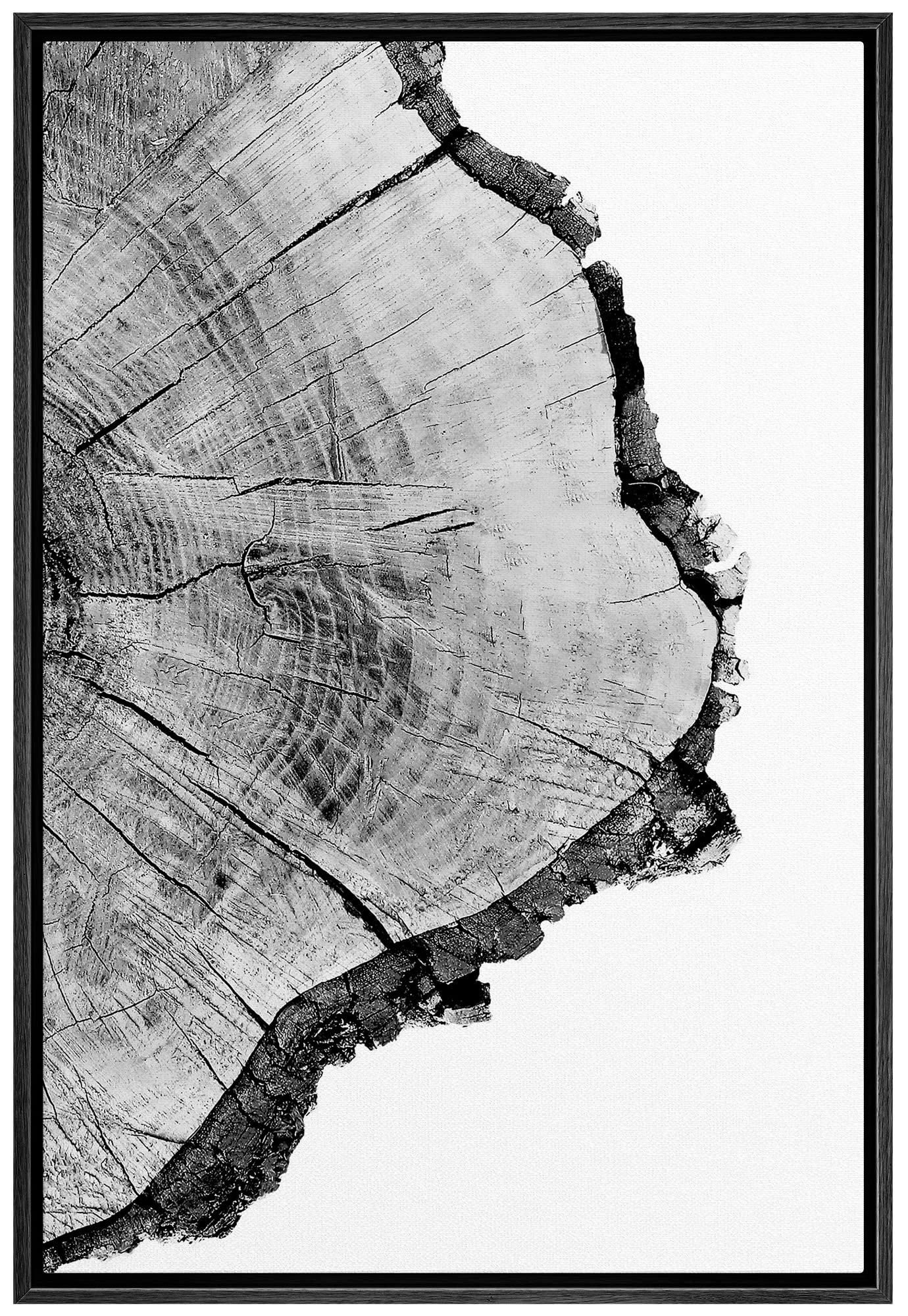 Signwin Framed Canvas Print Wall Art Detailed Wood Rings Of Tree Nature Wilderness Photography Realism Rustic Dramatic Grey Blac