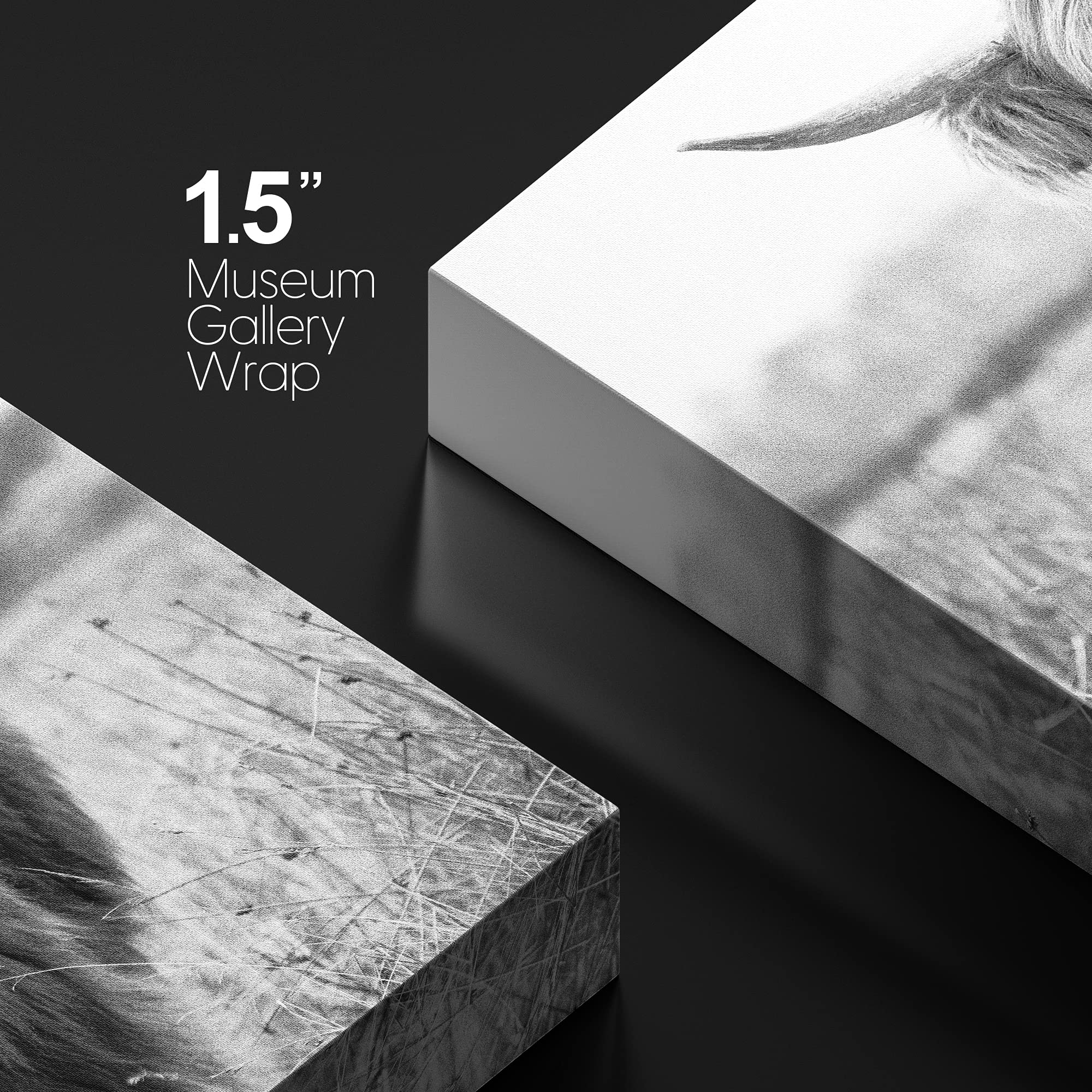 Wall26 Canvas Print Wall Art Black & White Shaggy Ox Portrait Animals Wilderness Photography Realism Rustic Scenic Relax/Calm Mu