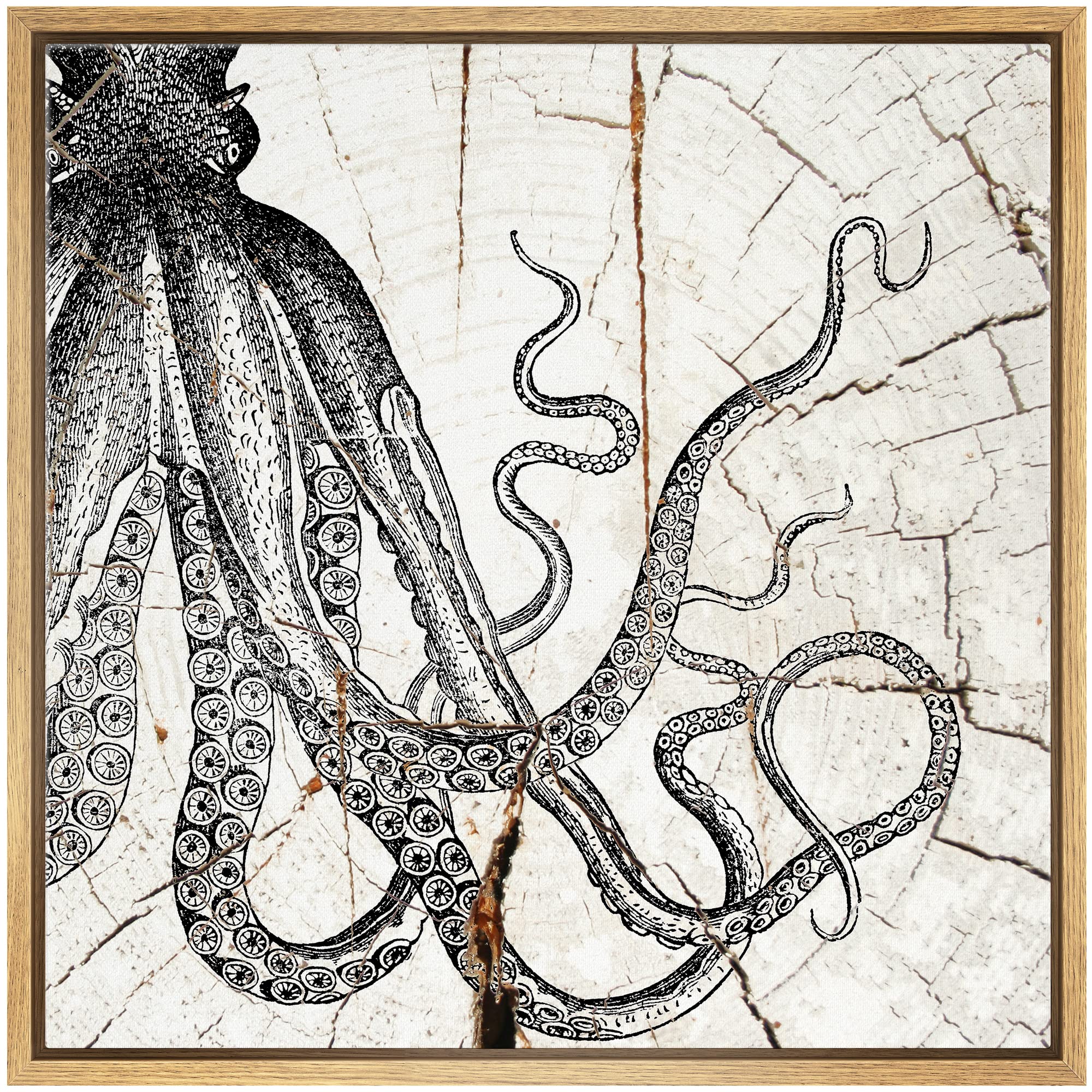 Wall26 Framed Canvas Print Wall Art Wood Ring Effect Cartoon Octopus Animals Wildlife Wood Modern Art Farmhouse/Country Expressi