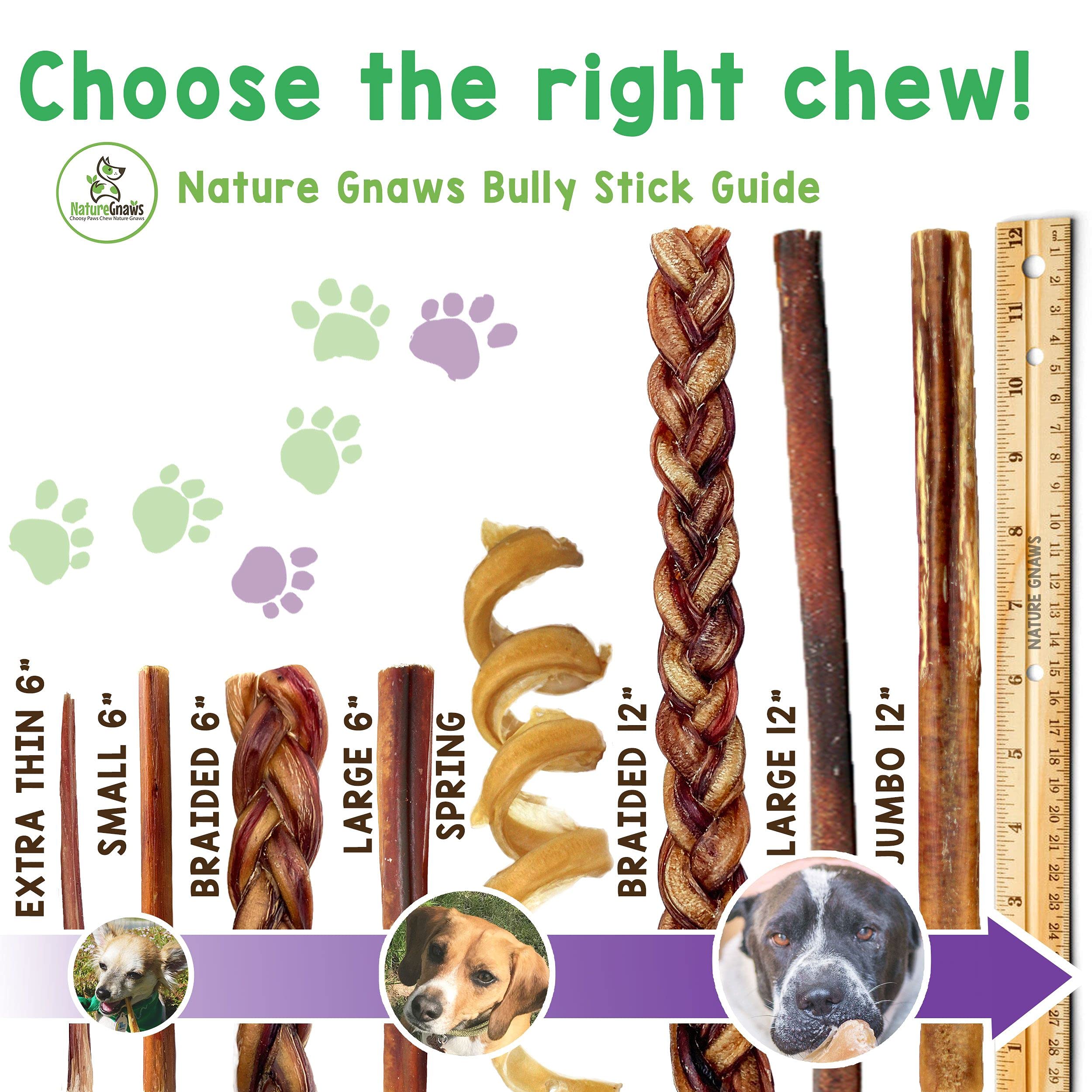 Nature Gnaws Bully Sticks For Large Dogs - Premium Natural Beef Bones - Thick Long Lasting Dog Chew Treats For Aggressive Chewer