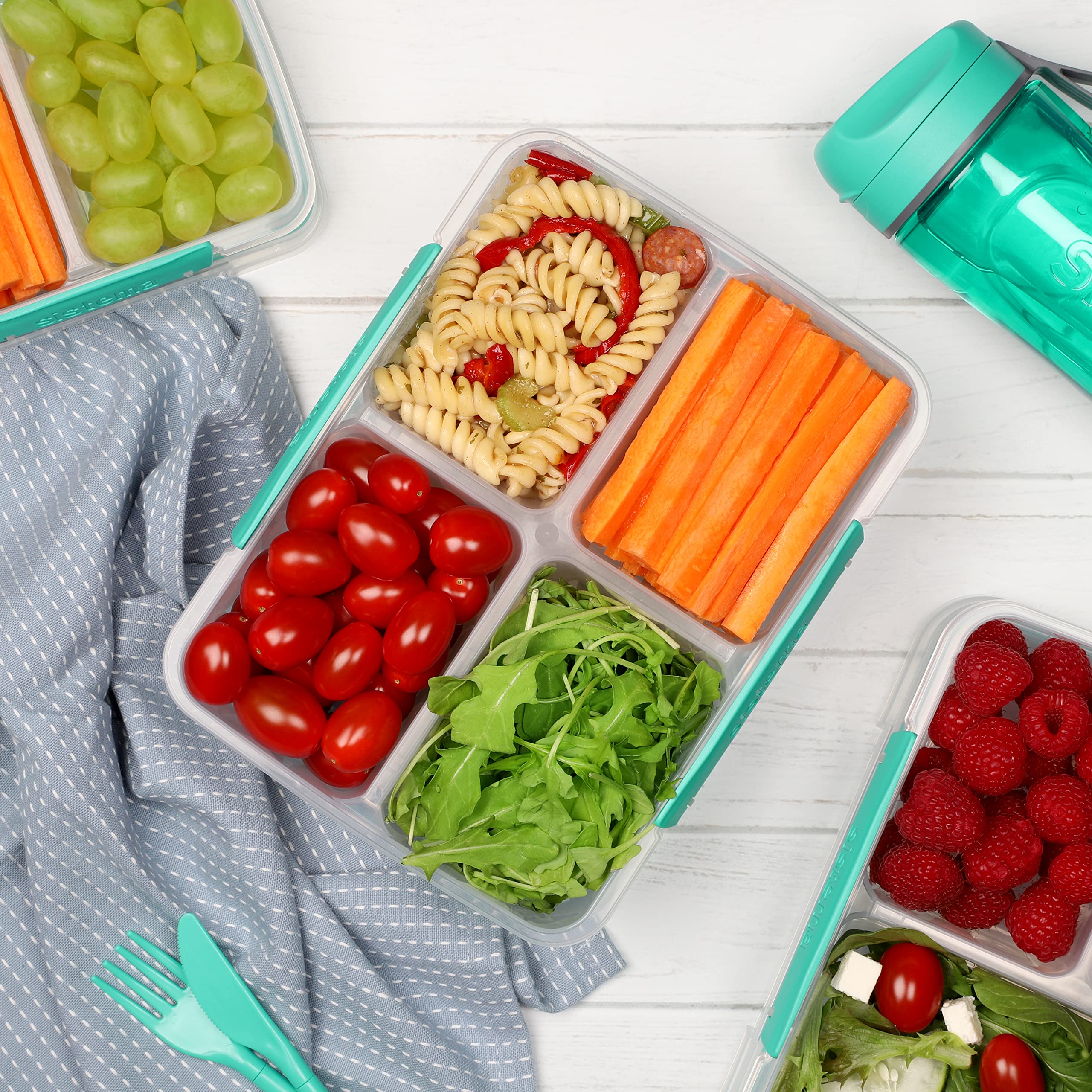 Sistema 1007708 To Go Quad Split Food Storage Container, Clear With Coloured Clips, 1.7 L