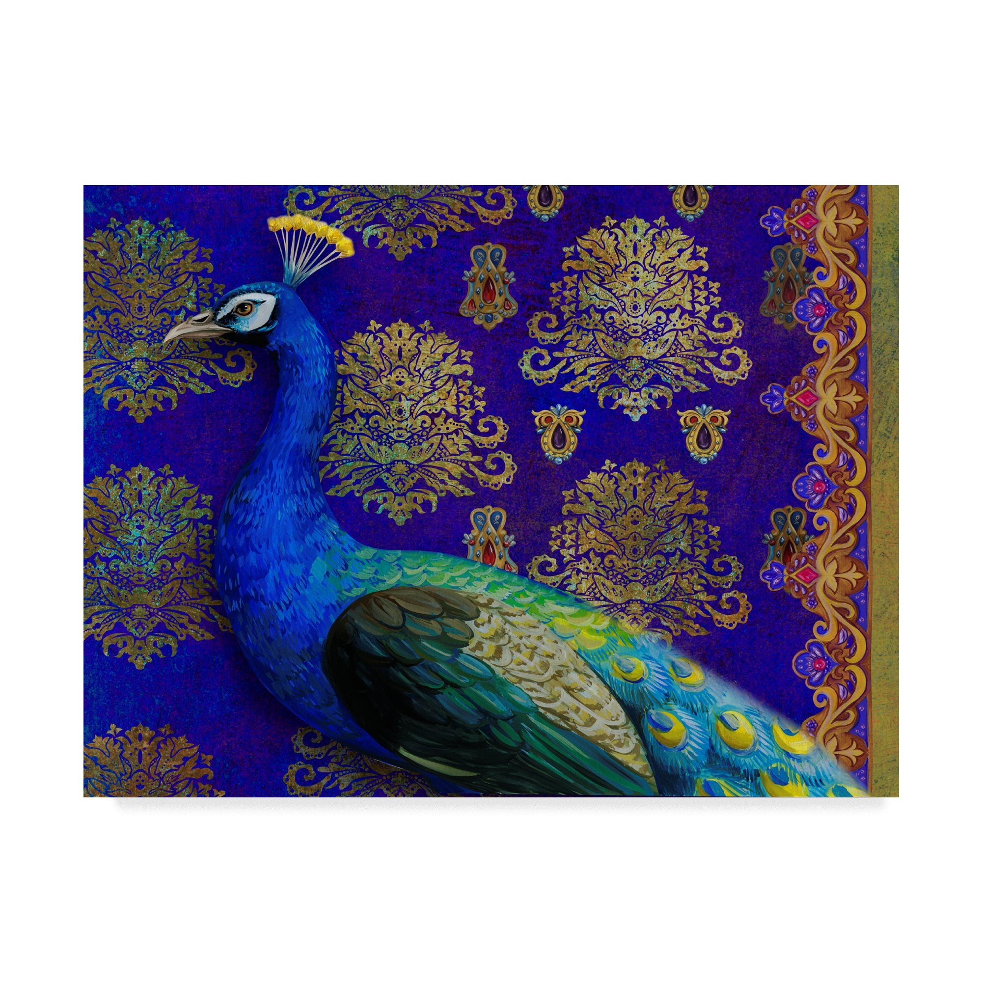 Indian Peacock By Maria Rytova, 24X32-Inch