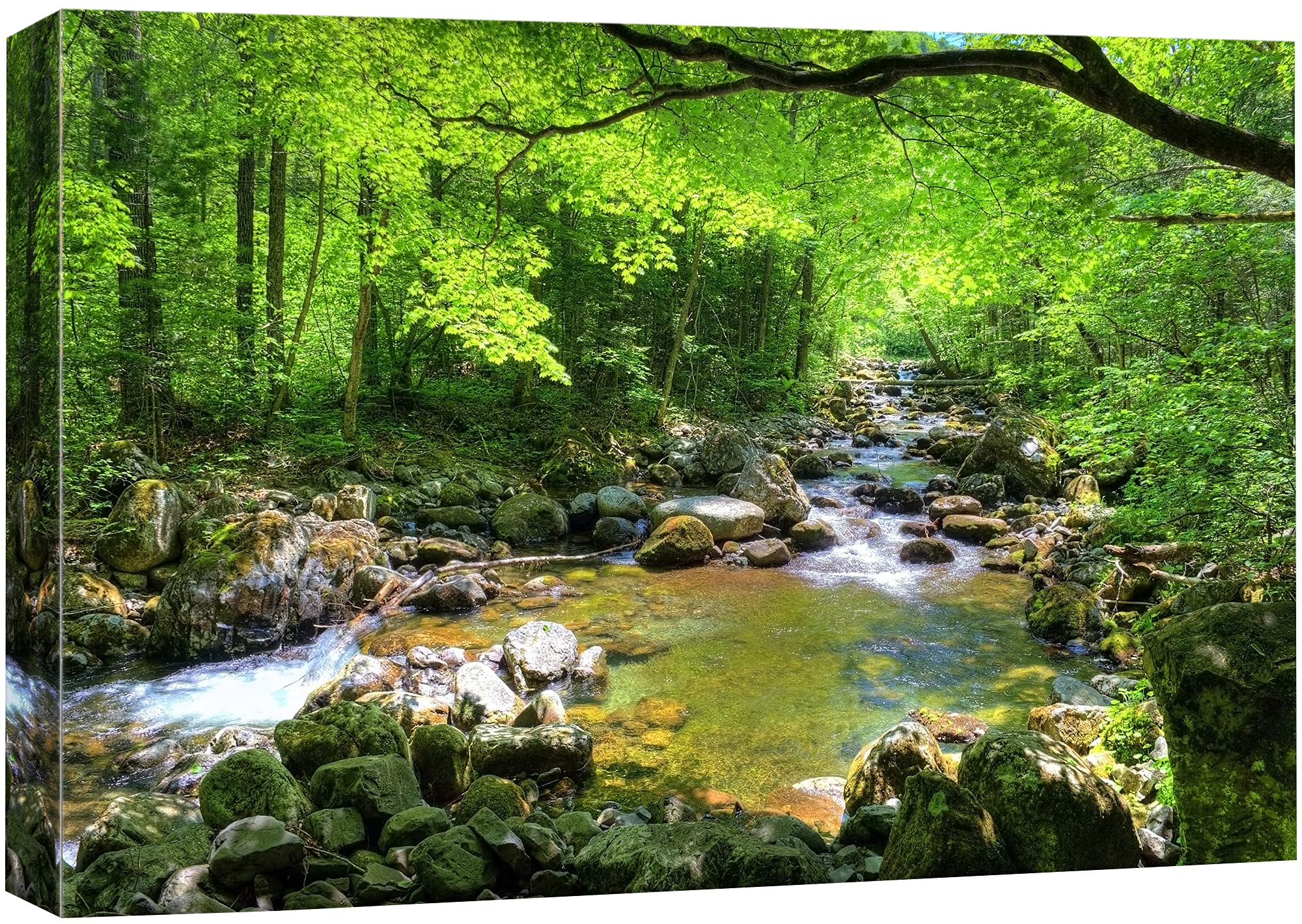 Wall26 Canvas Print Wall Art River Through The Green Forest Nature Wilderness Photography Modern Art Rustic Scenic For Living Ro