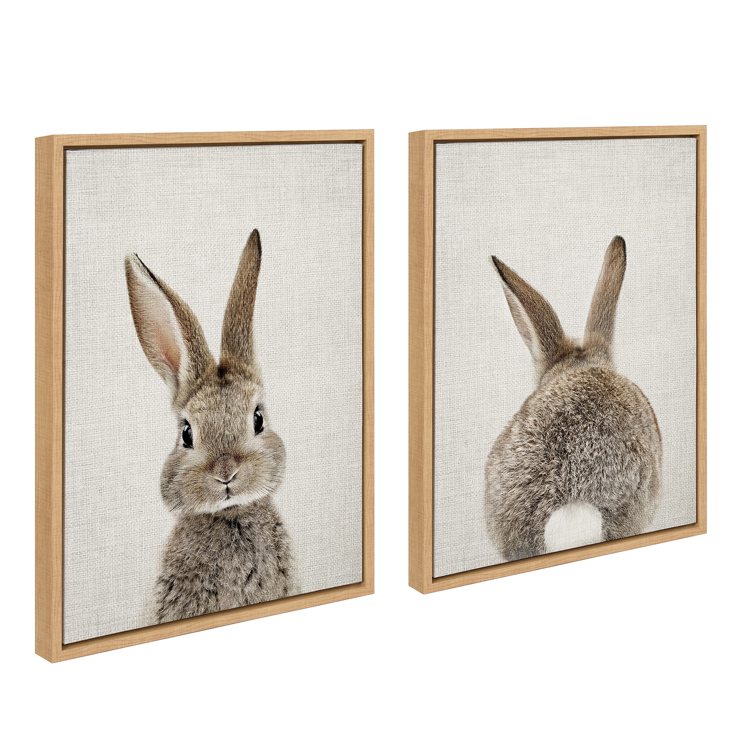 Kate and Laurel Sylvie Bunny Portrait And Bunny Tail Framed Canvas Wall Art By Amy Peterson  18x24 Natural  Cute Baby Animal Art Decor