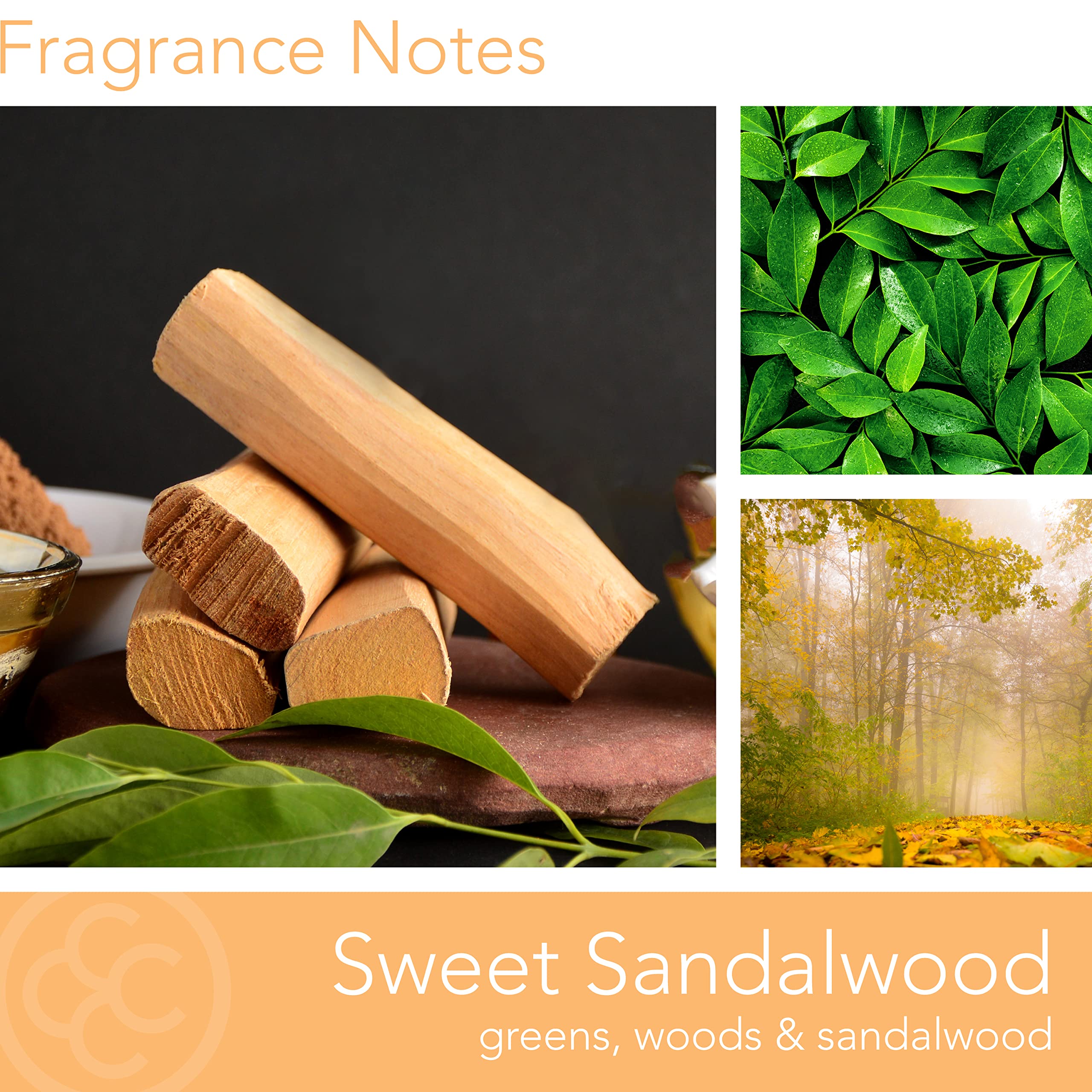 M. Baker by Colonial Candle Scented Apothecary Glass Jar Candle, Sweet Sandalwood, Natural Soy Wax Blend, 14 Oz, Two Premium Cot