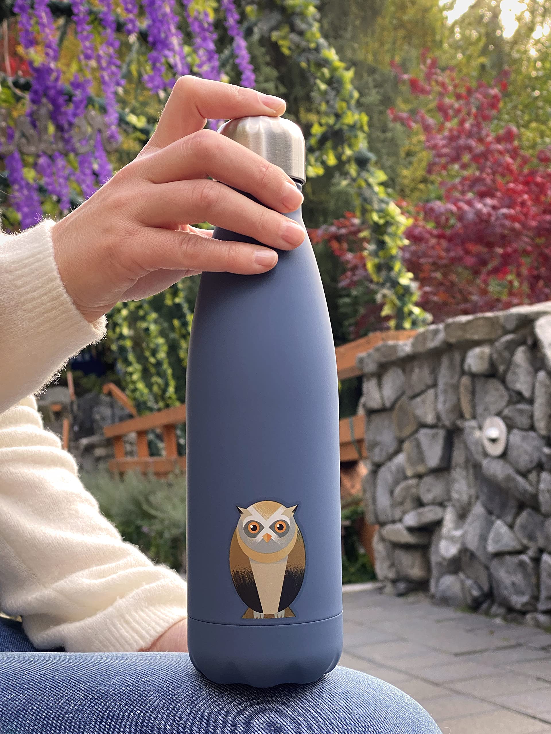 Smllo | Water Bottle With Cute Owl Design | Stainless Steel | Double Wall Insulated | 17Oz, Blue