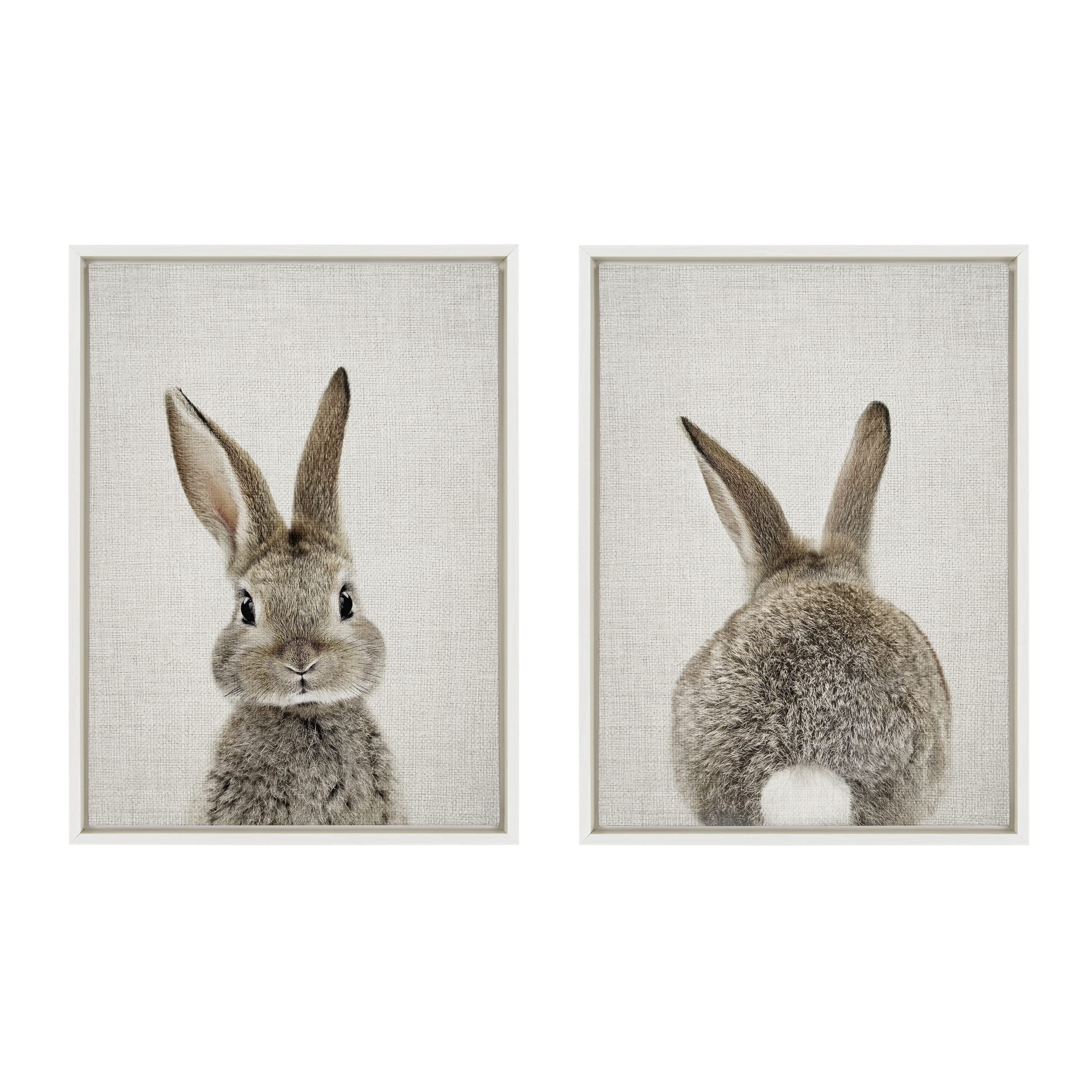 Kate And Laurel Sylvie Bunny Portrait On Linen And Bunny Tail On Linen Framed Canvas Wall Art By Amy Peterson Art Studio, 2 Piec