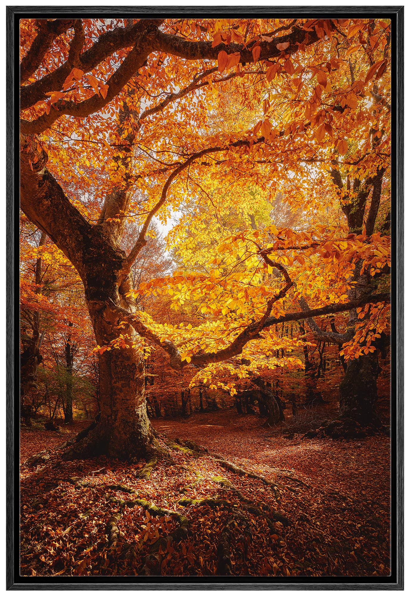 Signwin Framed Canvas Print Wall Art Autumn Red Leaf Oak Tree Forest Nature Wilderness Modern Art Farmhouse/Country Landscape Co