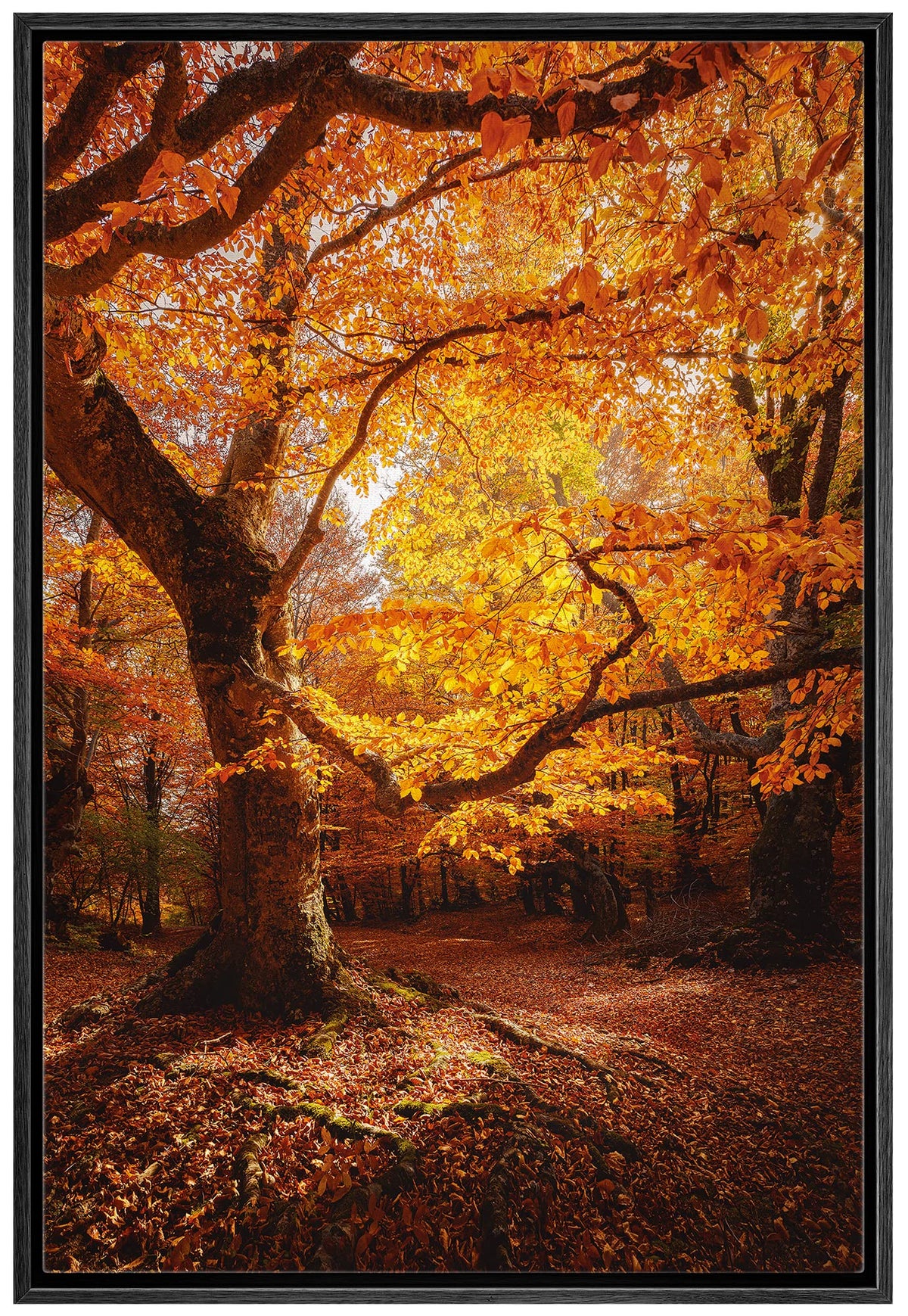 Signwin Framed Canvas Print Wall Art Autumn Red Leaf Oak Tree Forest Nature Wilderness Modern Art Farmhouse/Country Landscape Co