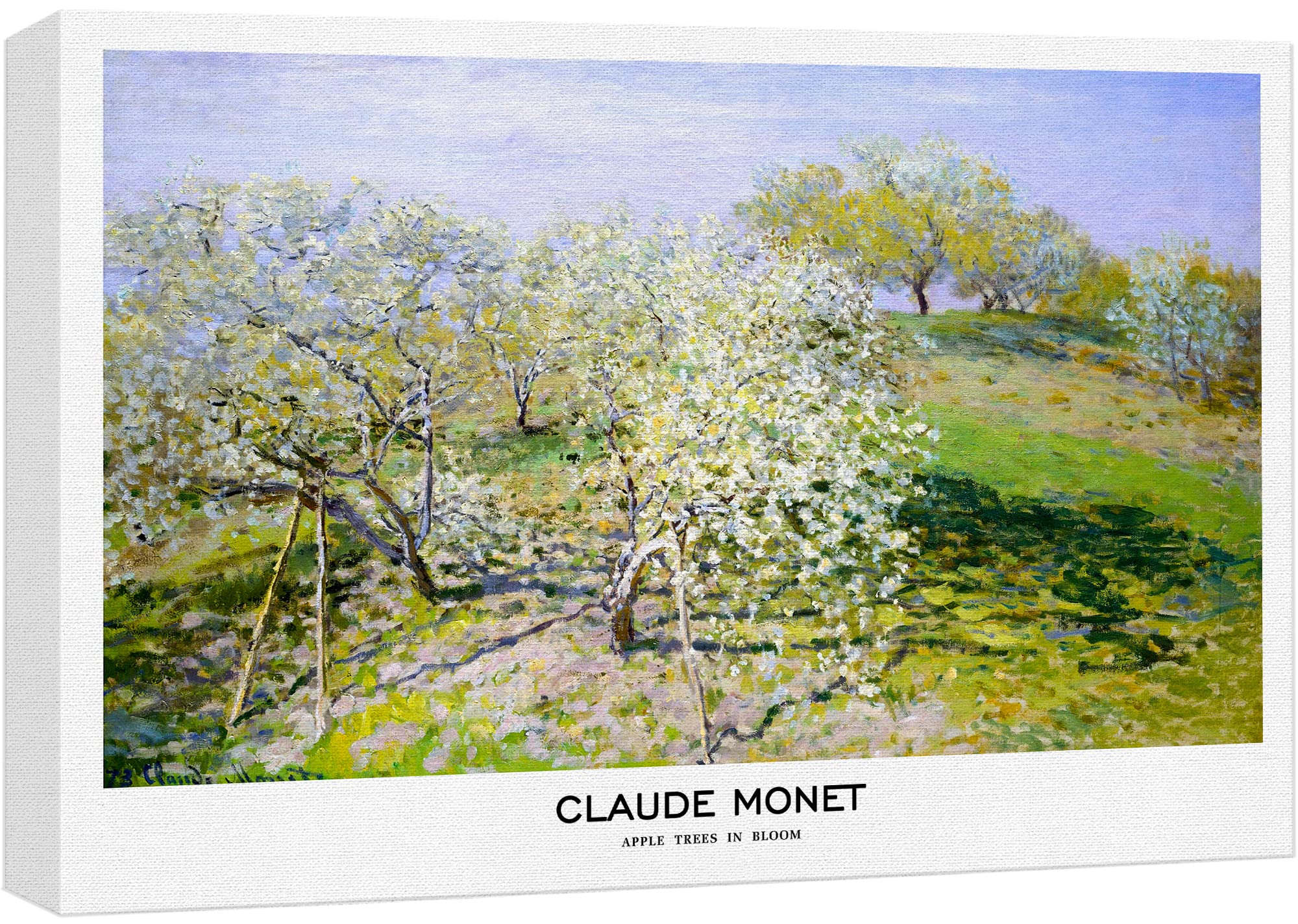 Wall26 Canvas Print Wall Art Apple Trees In Bloom By Claude Monet Historic Classical Illustrations Fine Art Decorative Vintage Z