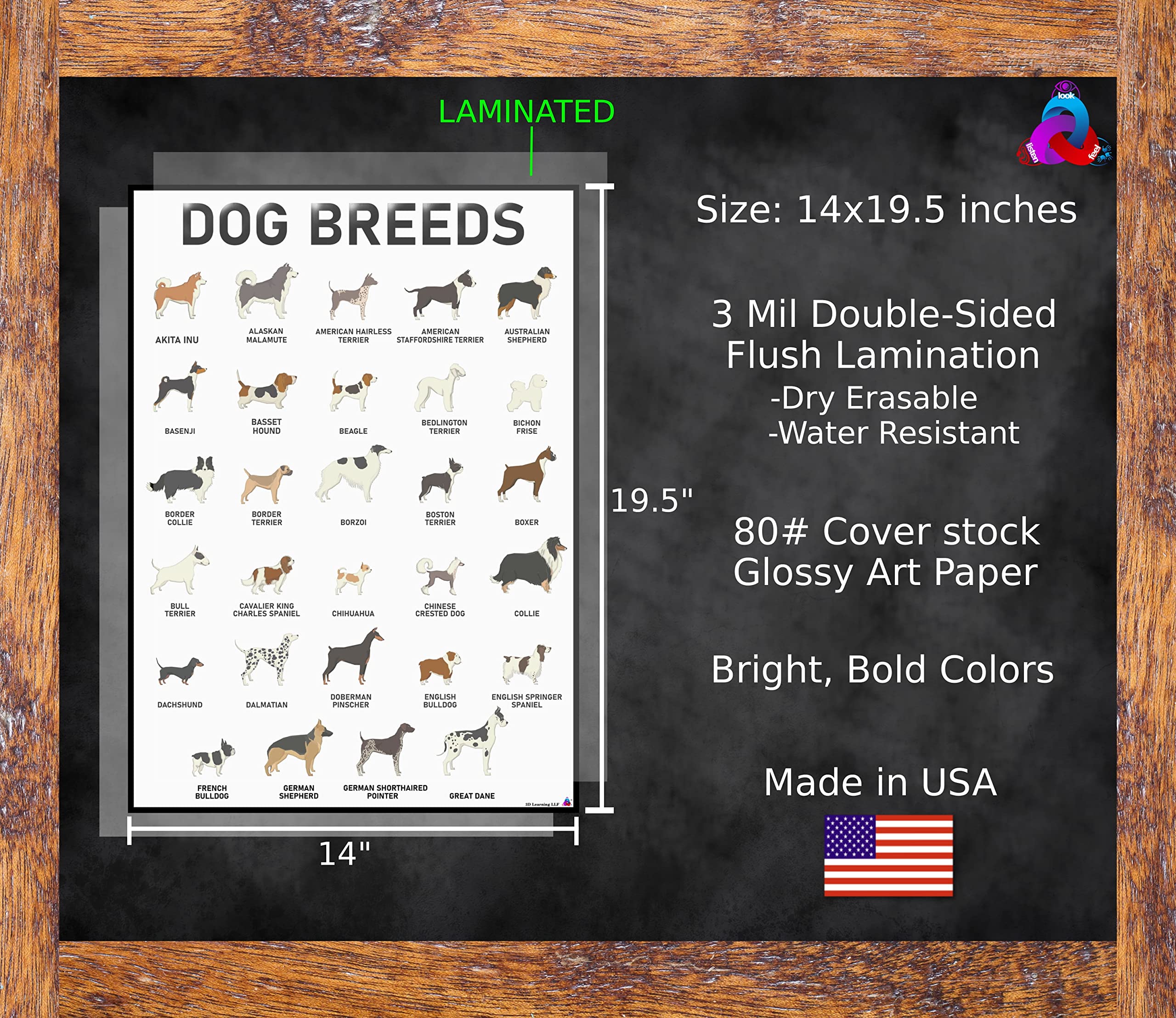 3D Learning Llf Dog Breeds Posters Set 58 Breeds For Lovers, Professionals Wall Art & Decor For Bedrooms, Clinic, Classroom