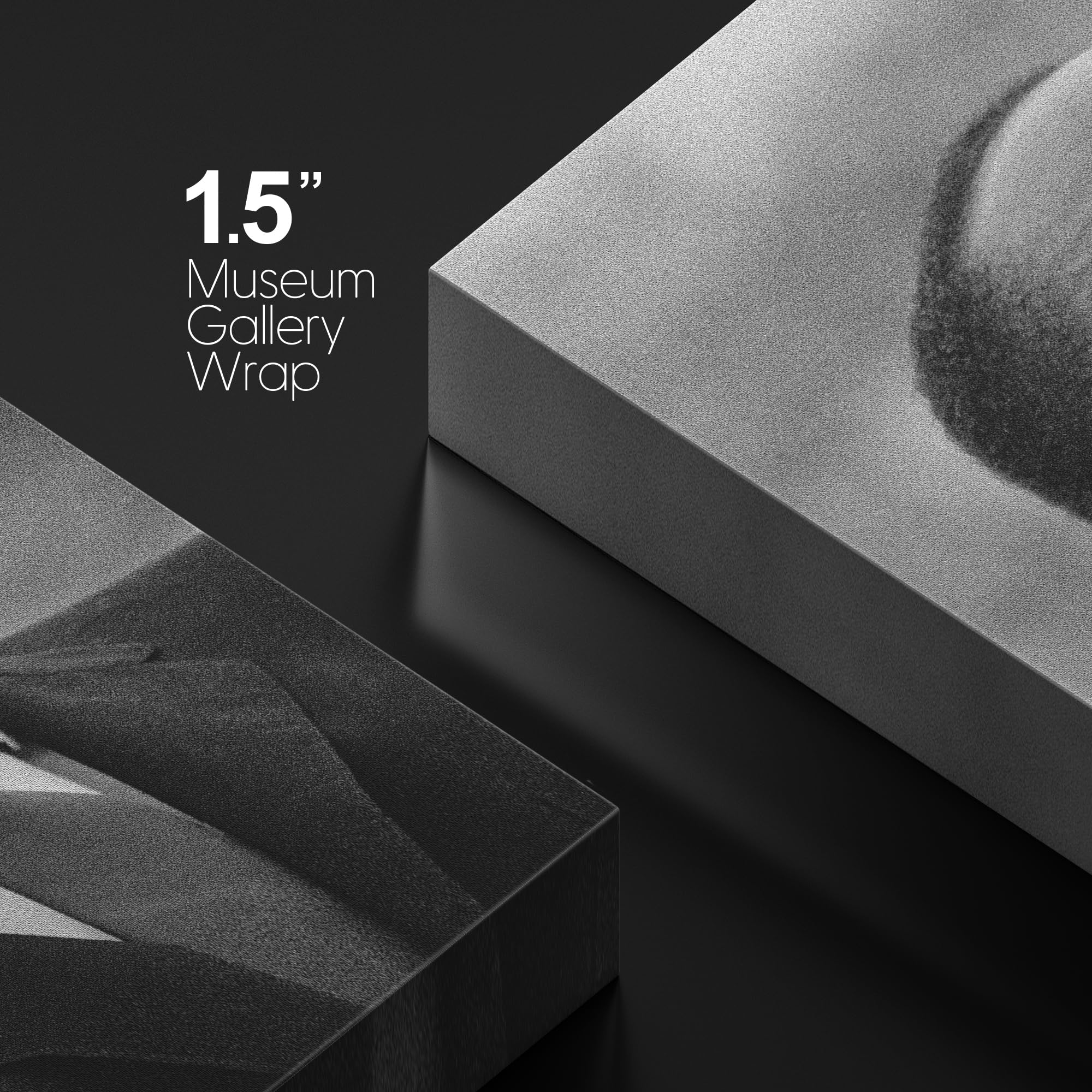 Wall26 Canvas Print Wall Art African American Civil Rights Martin Luther King Speech Historic Classic Photography Realism Tradit