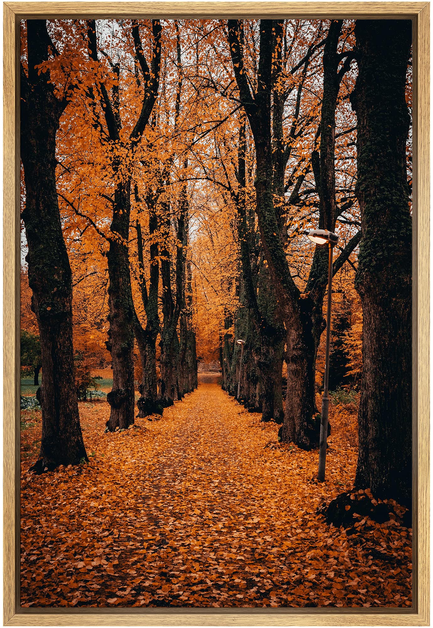 Signwin Framed Canvas Wall Art Orange Autumn Garden Path Nature Forest Realism Rustic Scenic Dramatic Multicolor Cool For Living