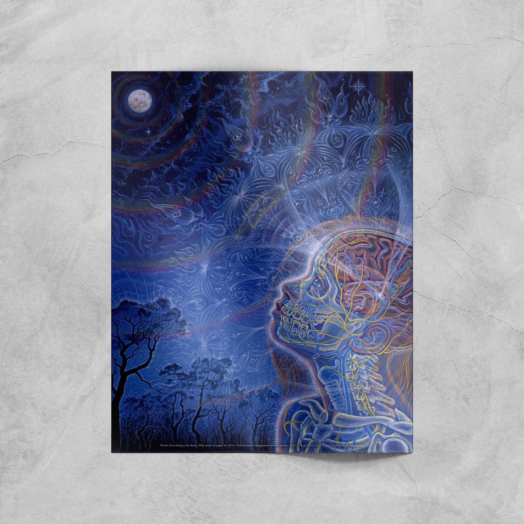 Alex Grey - Wonder - Poster