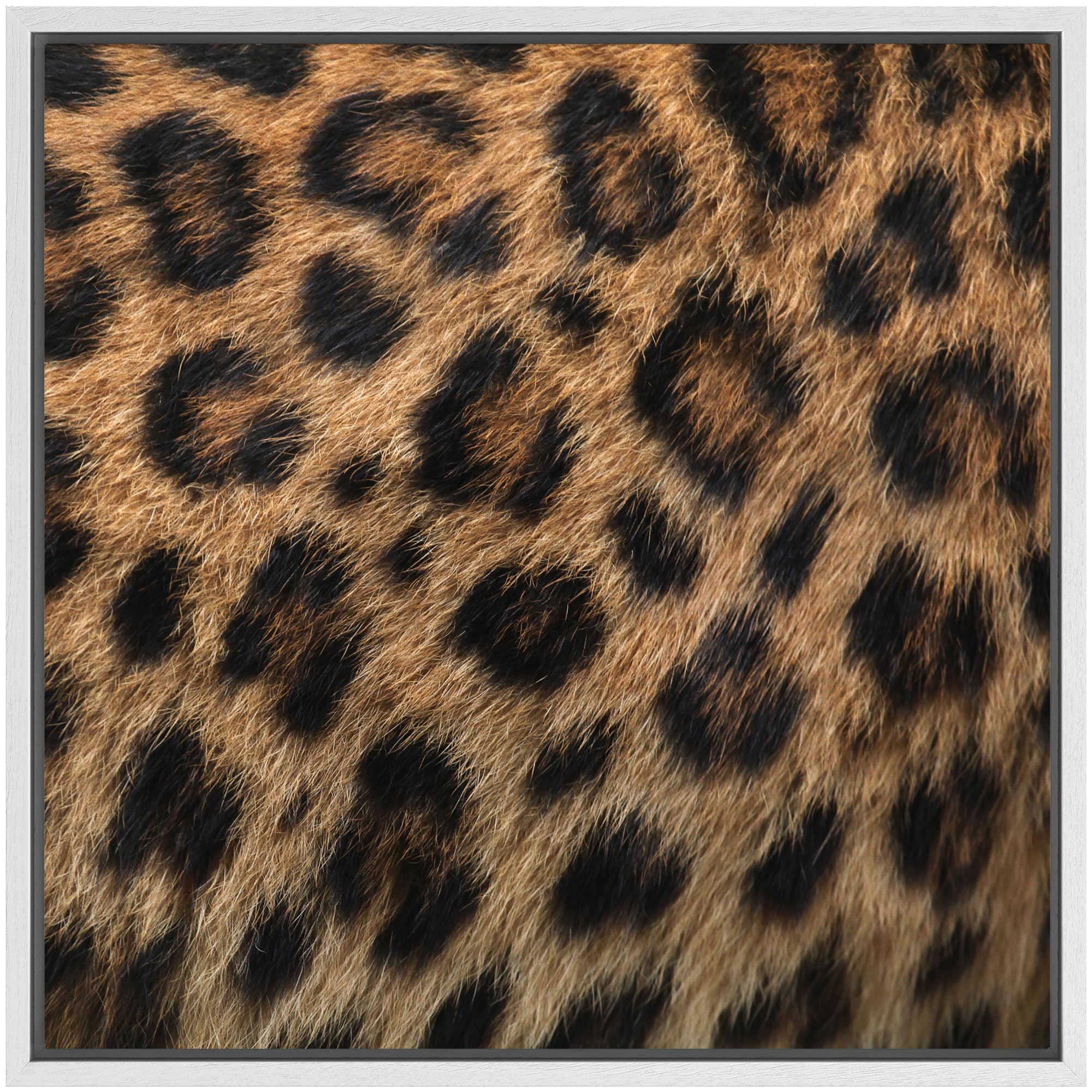 Wall26 Framed Framed Canvas Prints Wall Art Framed Framed Canvas Prints Wall Art - Leopard Fur/Skin Texture - 24''X24'' White