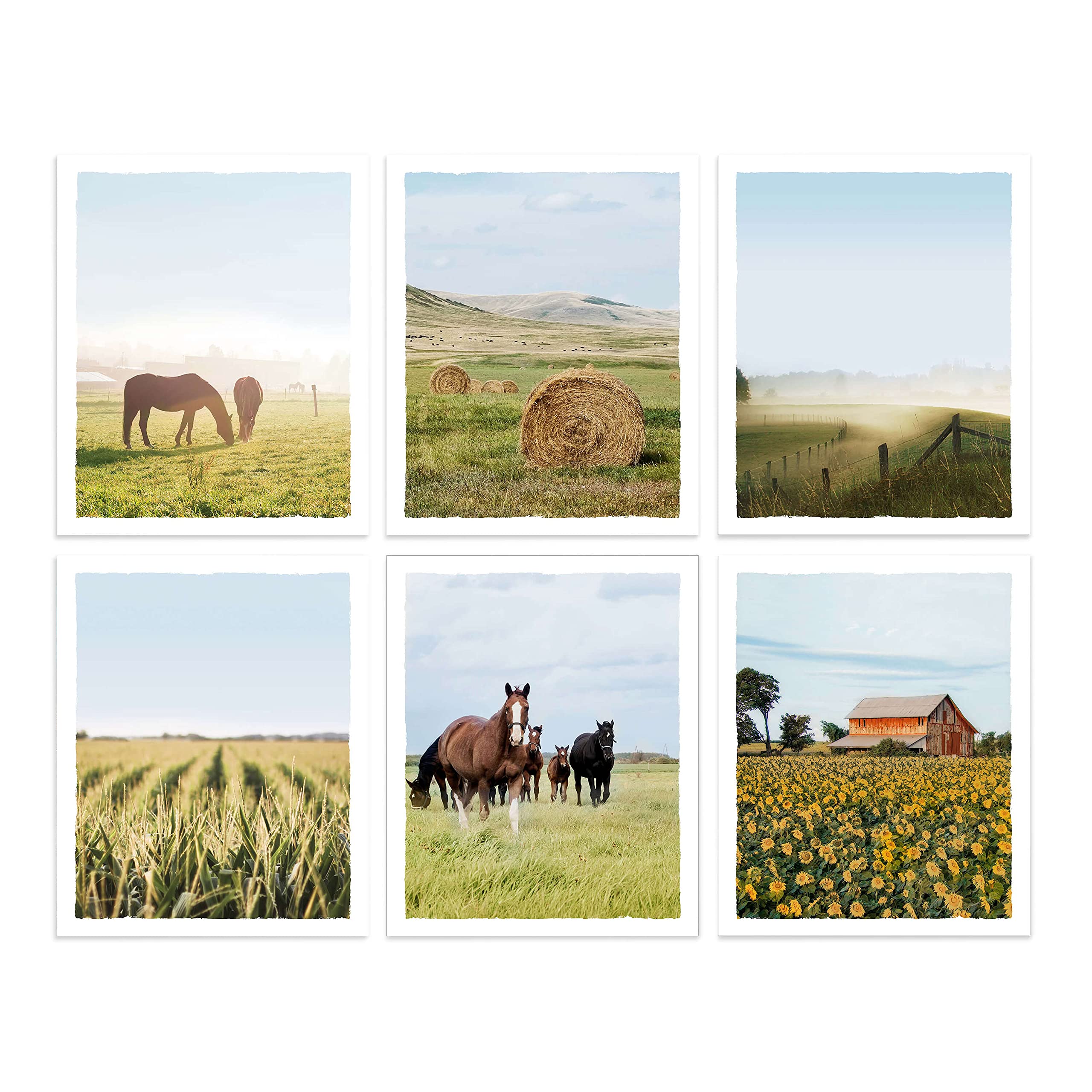 Color Play Rural Landscape Pictures Farmhouse Wall Art Set Of 6 Barn Prints Horse Straw Bales Grassland Photography For Home Wal