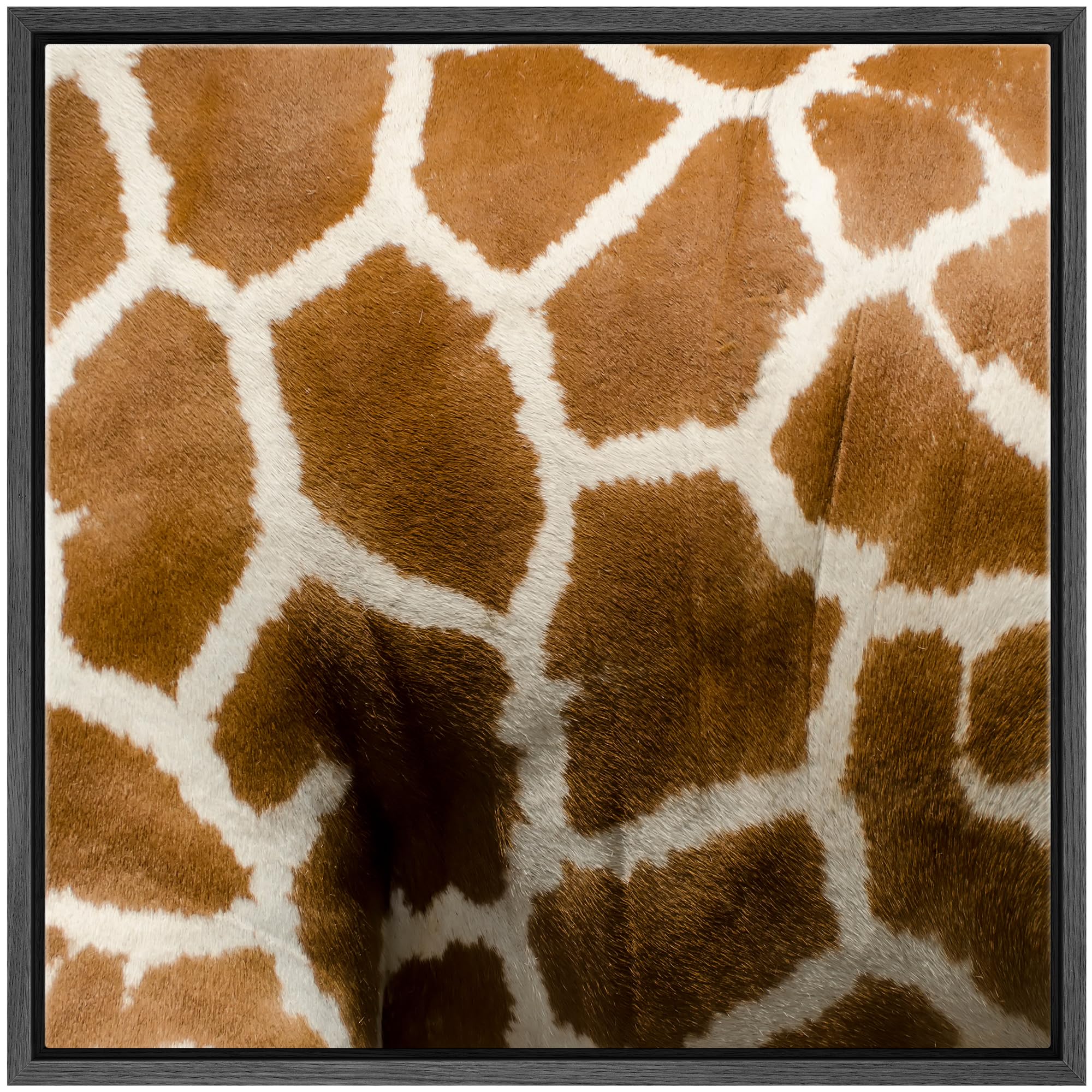 Wall26 Framed Framed Canvas Prints Wall Art Framed Framed Canvas Prints Wall Art - Giraffe Fur/Skin Texture - 16''X16'' Black